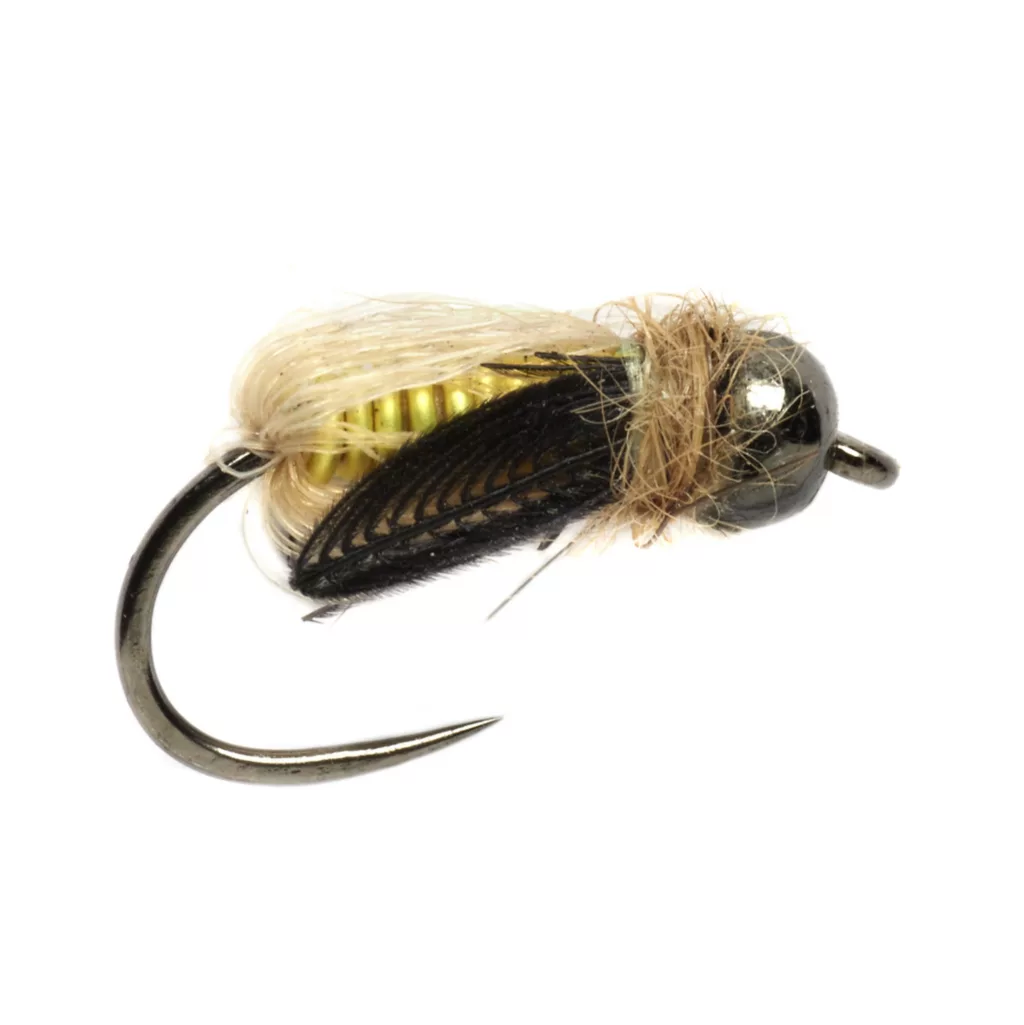 Tom Rosenbauer's Deep Caddis Pupa