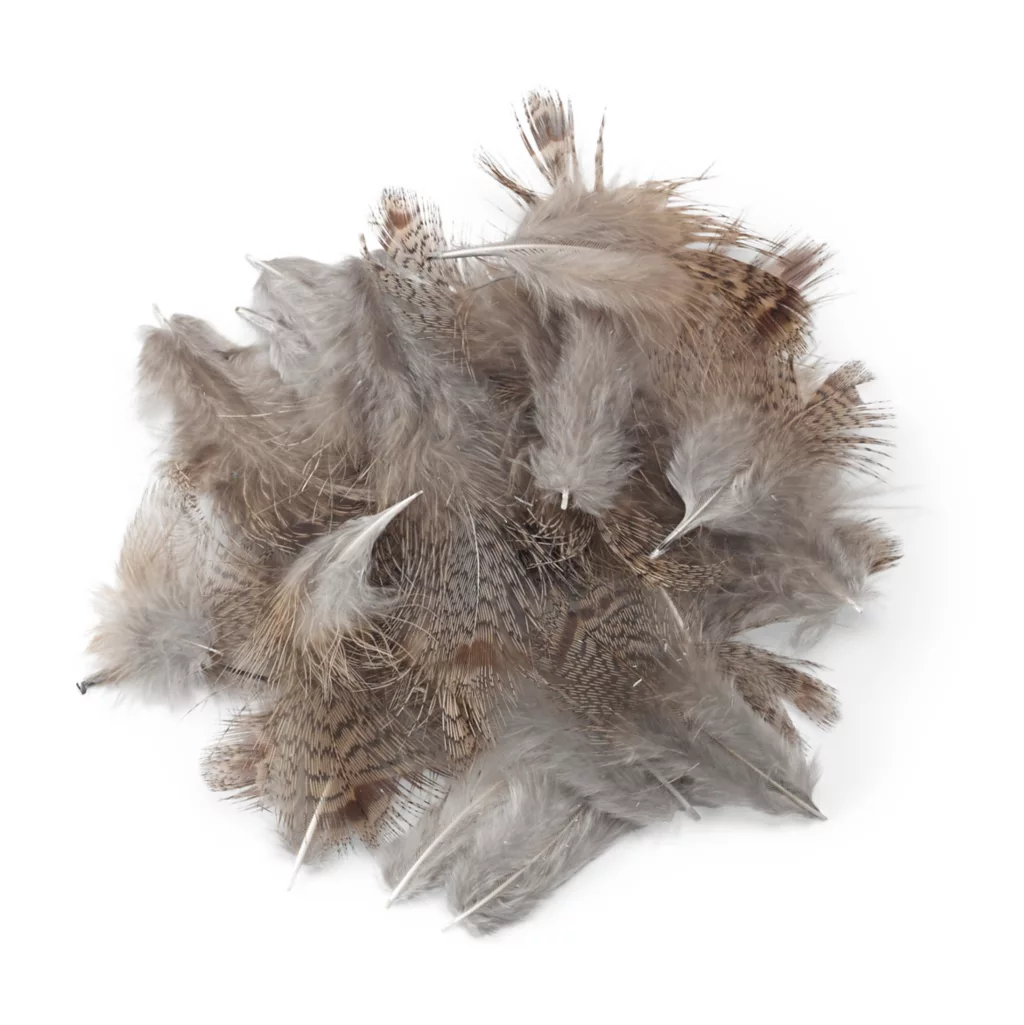 Hand-Selected European Partridge Feathers