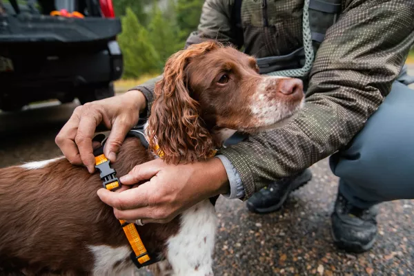 Tough Trail® Dog Harness