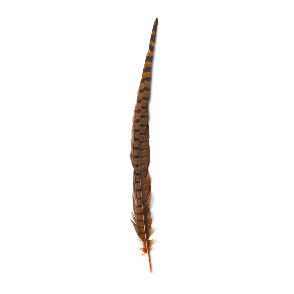 Pheasant Tail