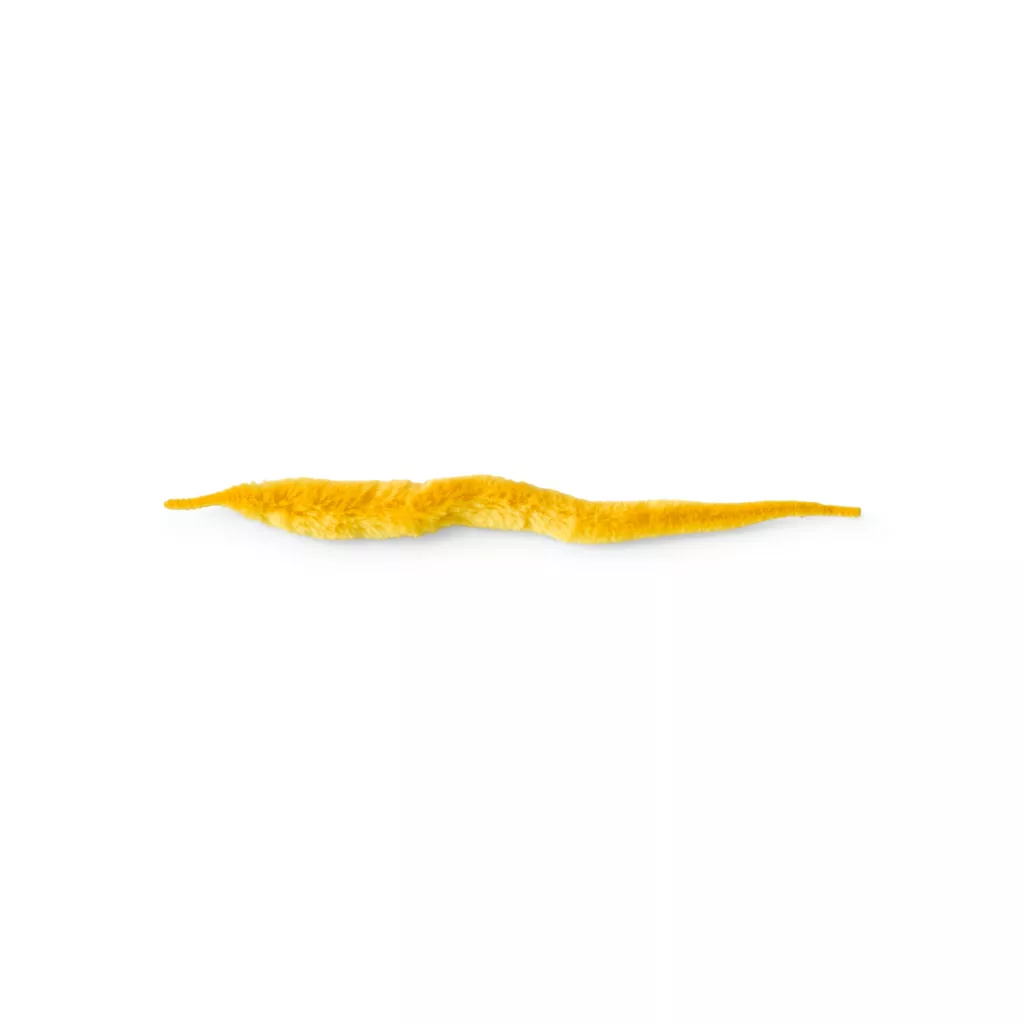 Mangum's Dragon Tail