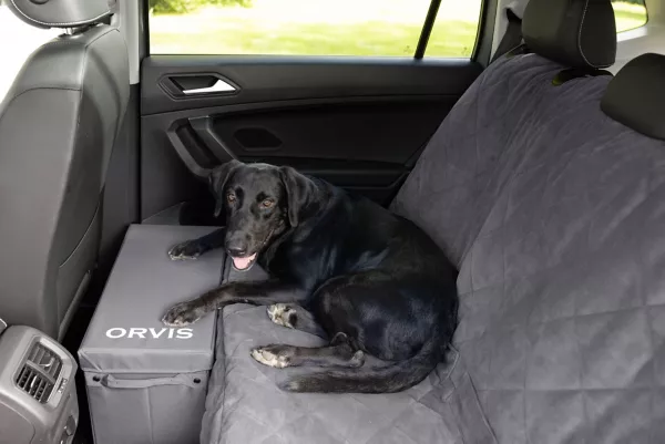 Backseat Extender with Storage