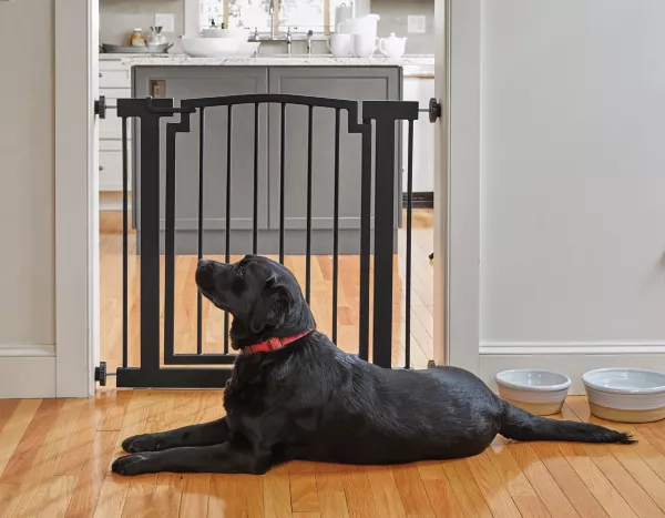 Easy-Mount DoorFrame Gate - Doorway