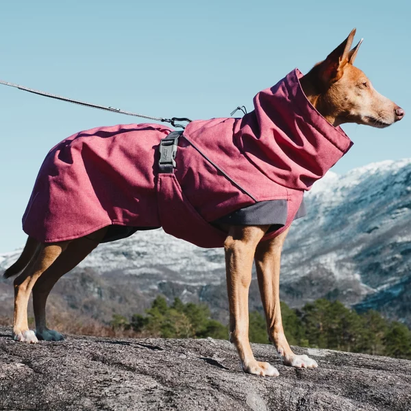 Hurtta® Expedition Dog Parka