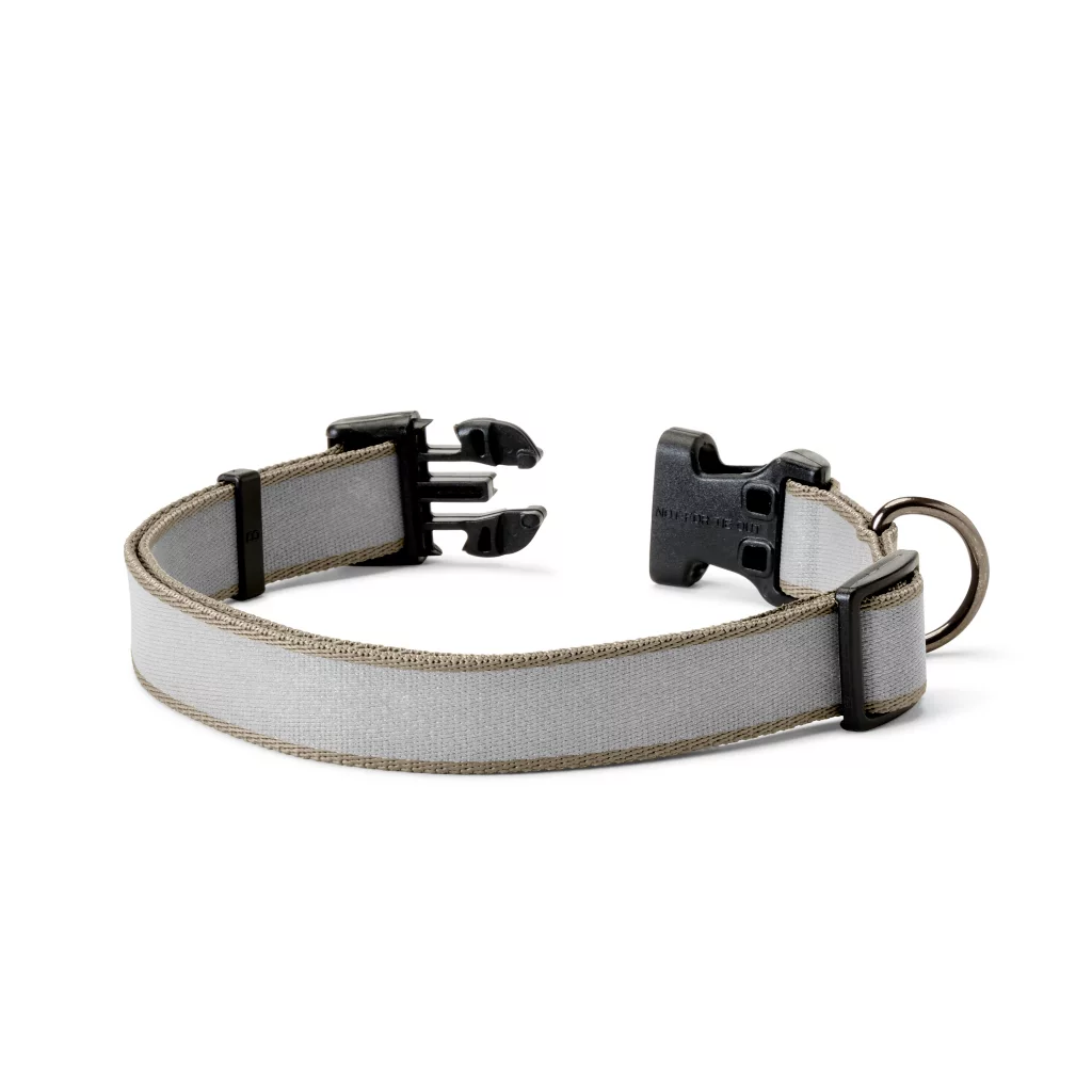 Personalized Reflective Collar