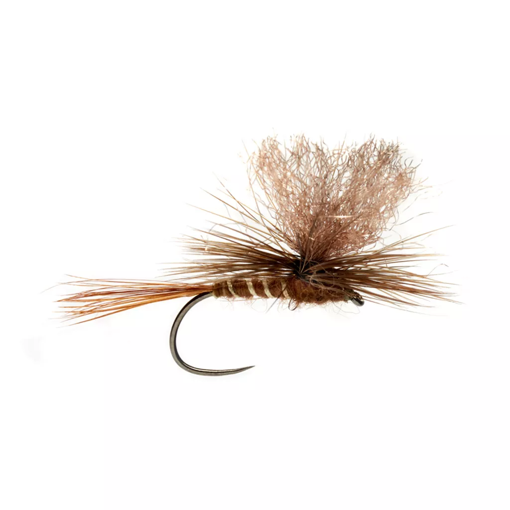 Barbless Tactical Western March Brown