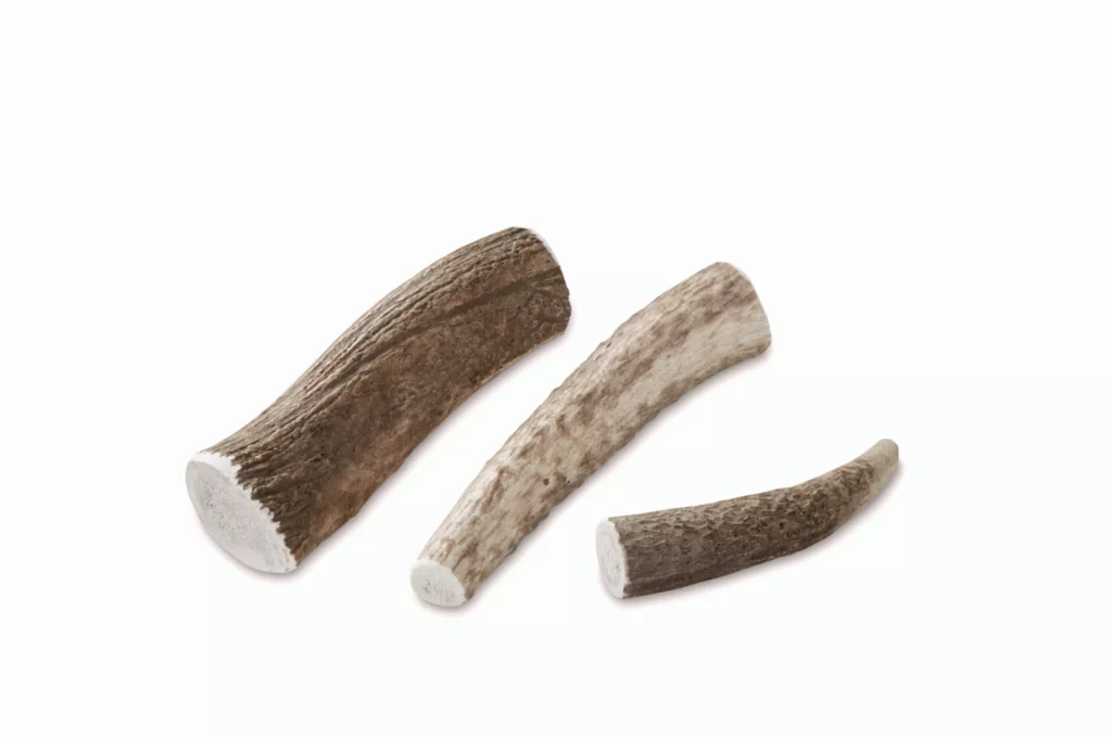 Elk Antler Chews