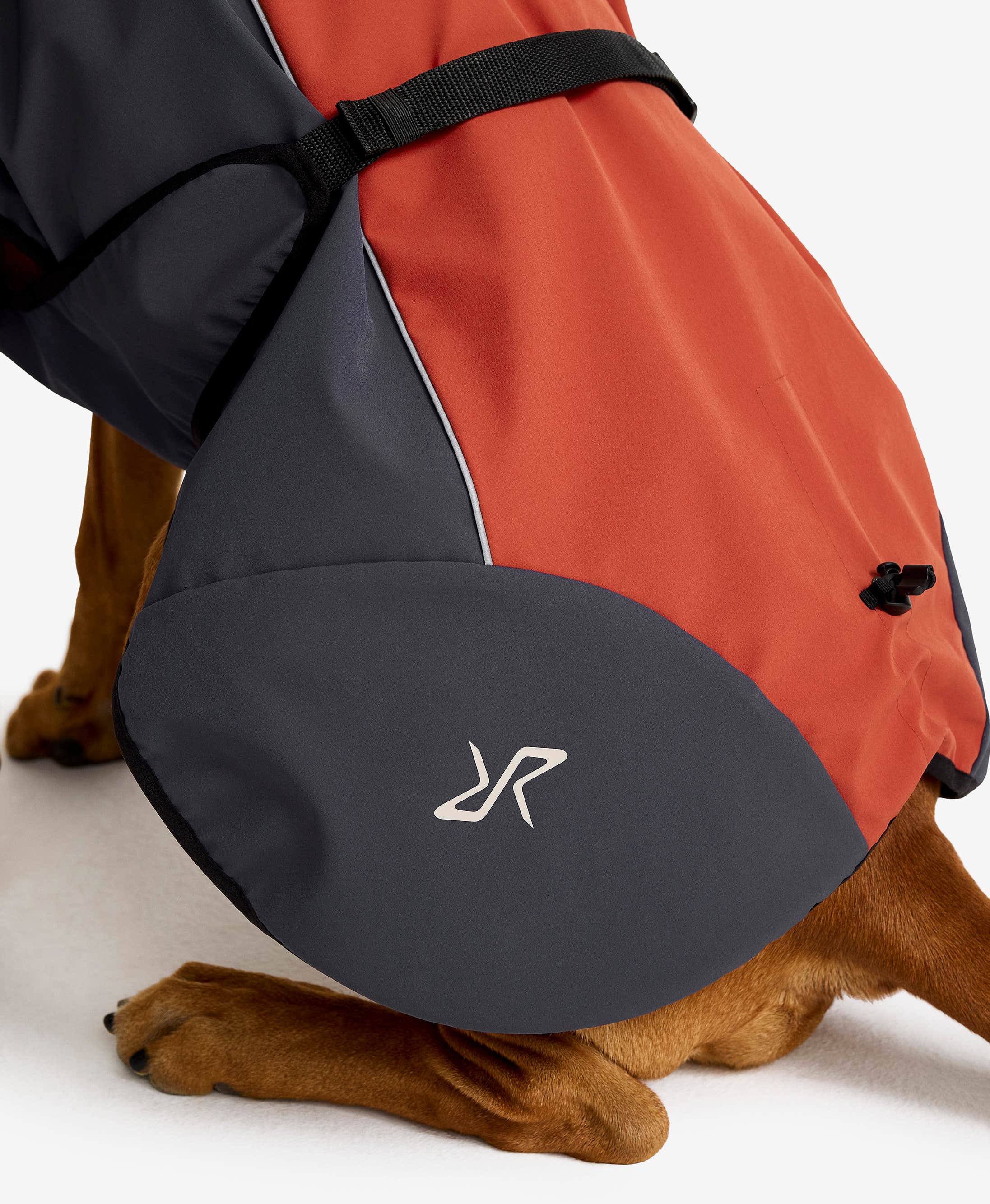 Cyclone Dog Jacket Dog