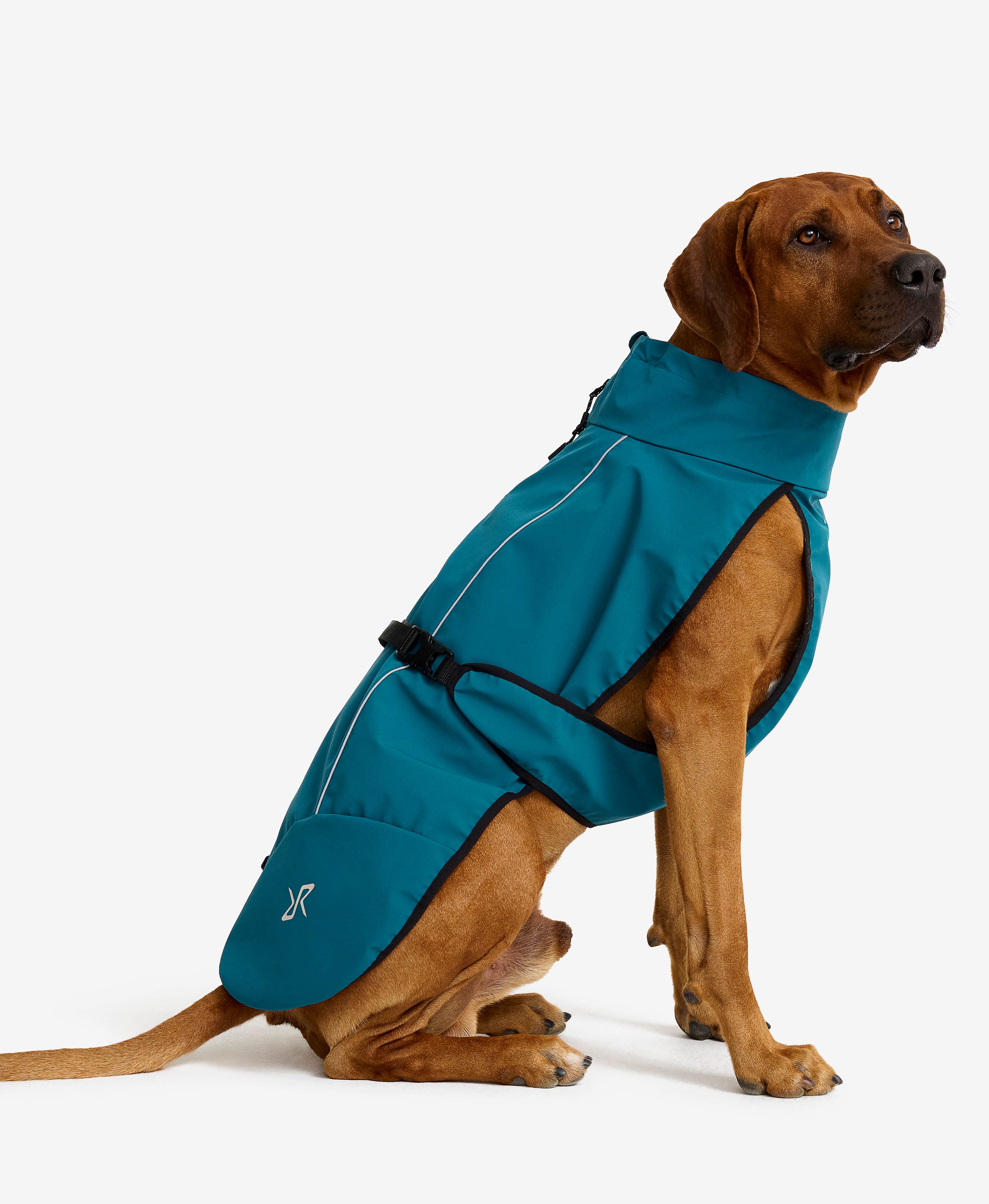 Cyclone Dog Jacket Dog