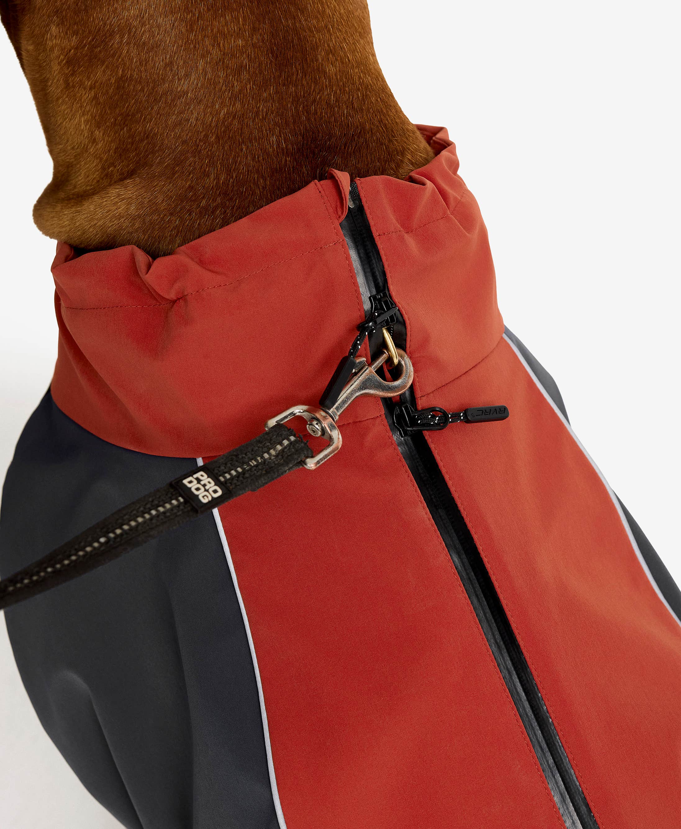 Cyclone Dog Jacket Dog