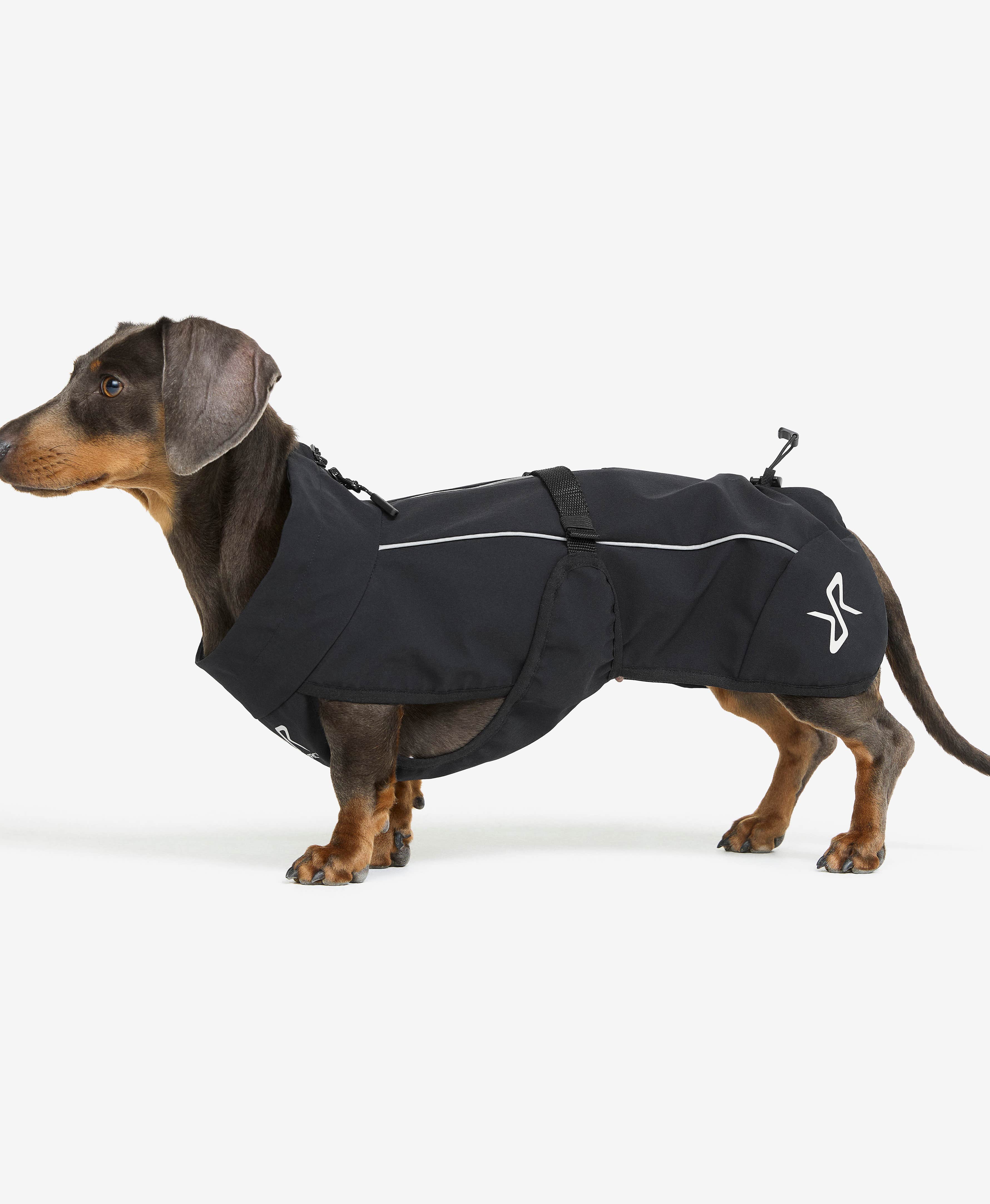 Cyclone Dog Jacket Dog