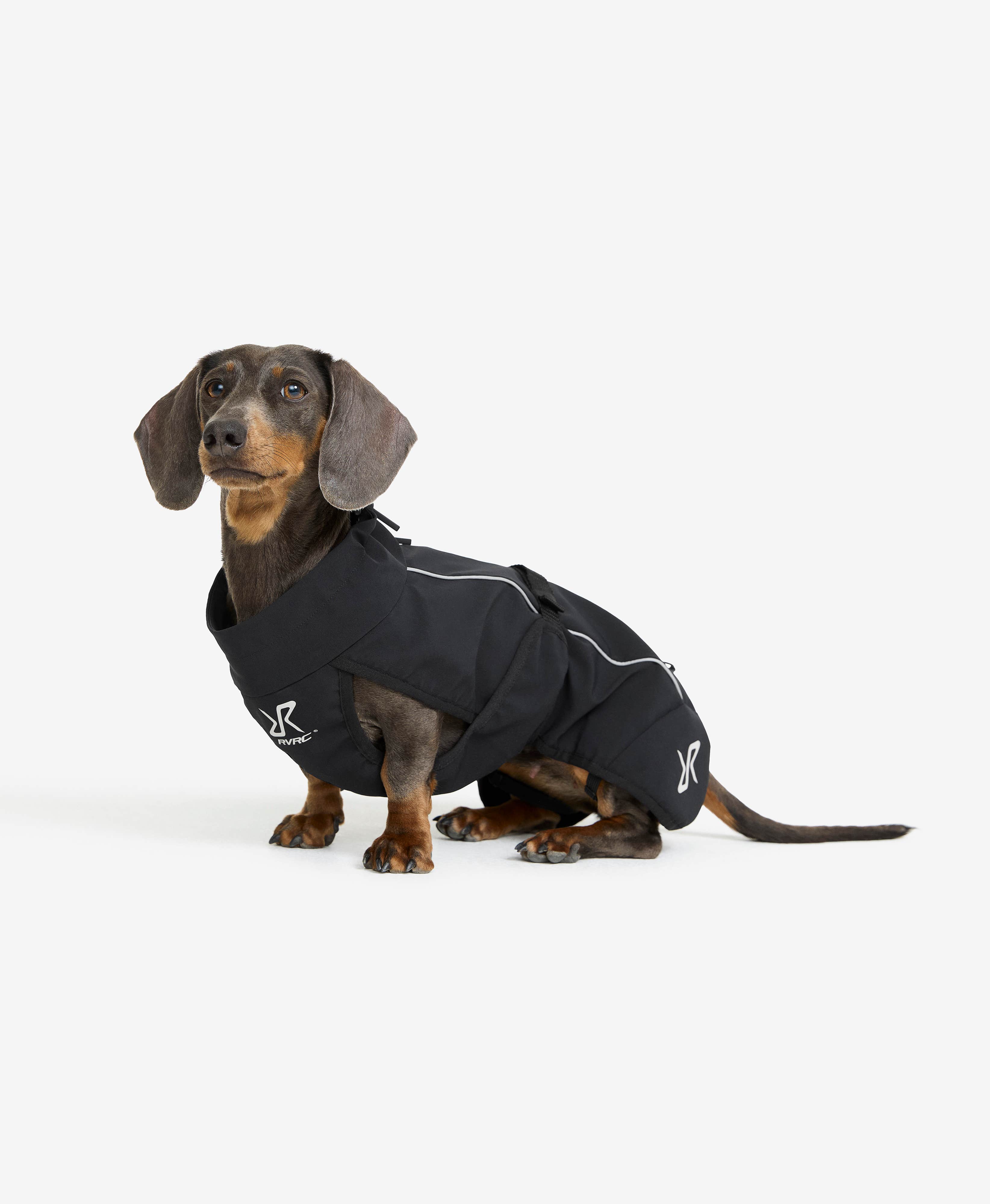 Cyclone Dog Jacket Dog