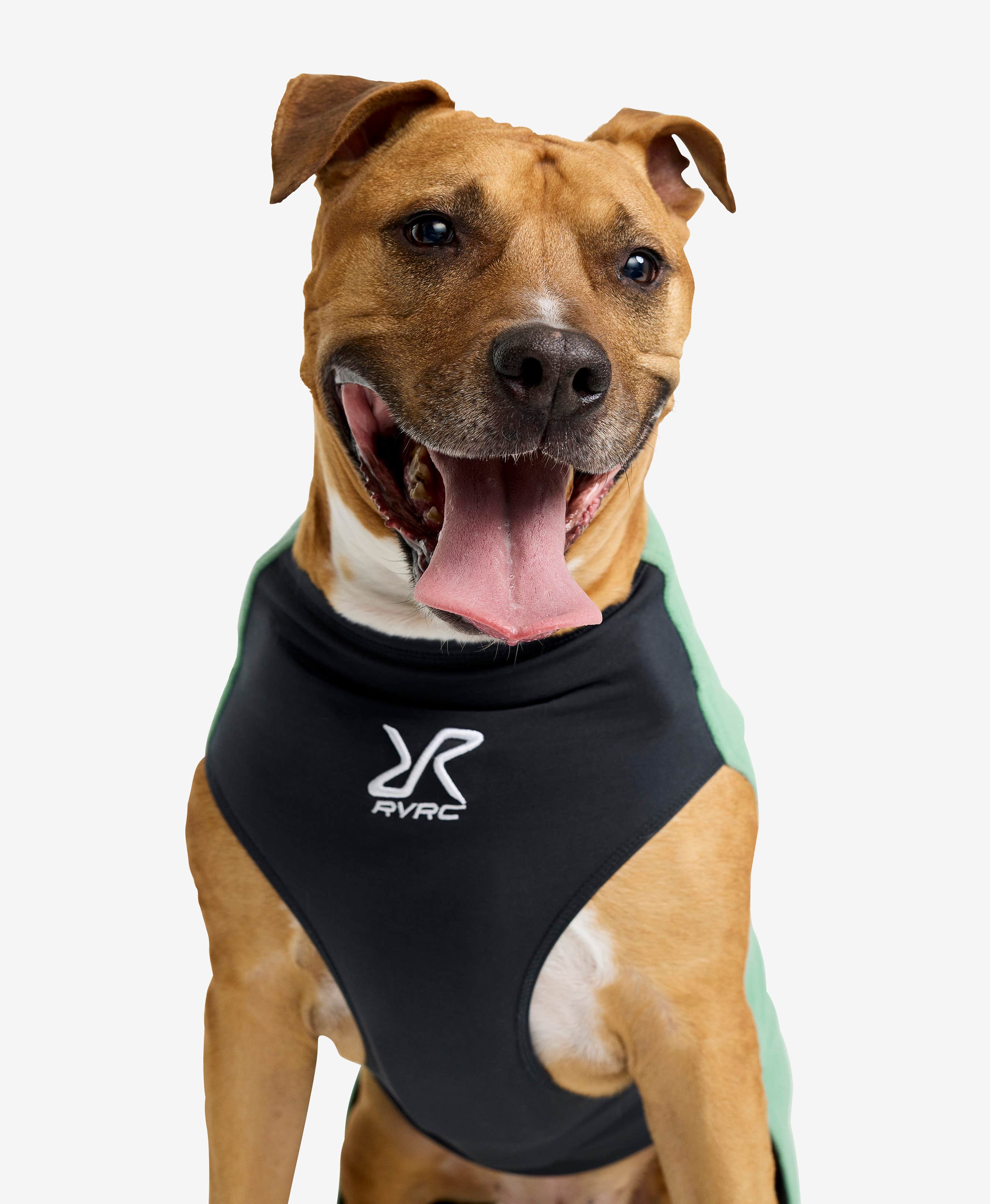 Trekker Fleece Dog