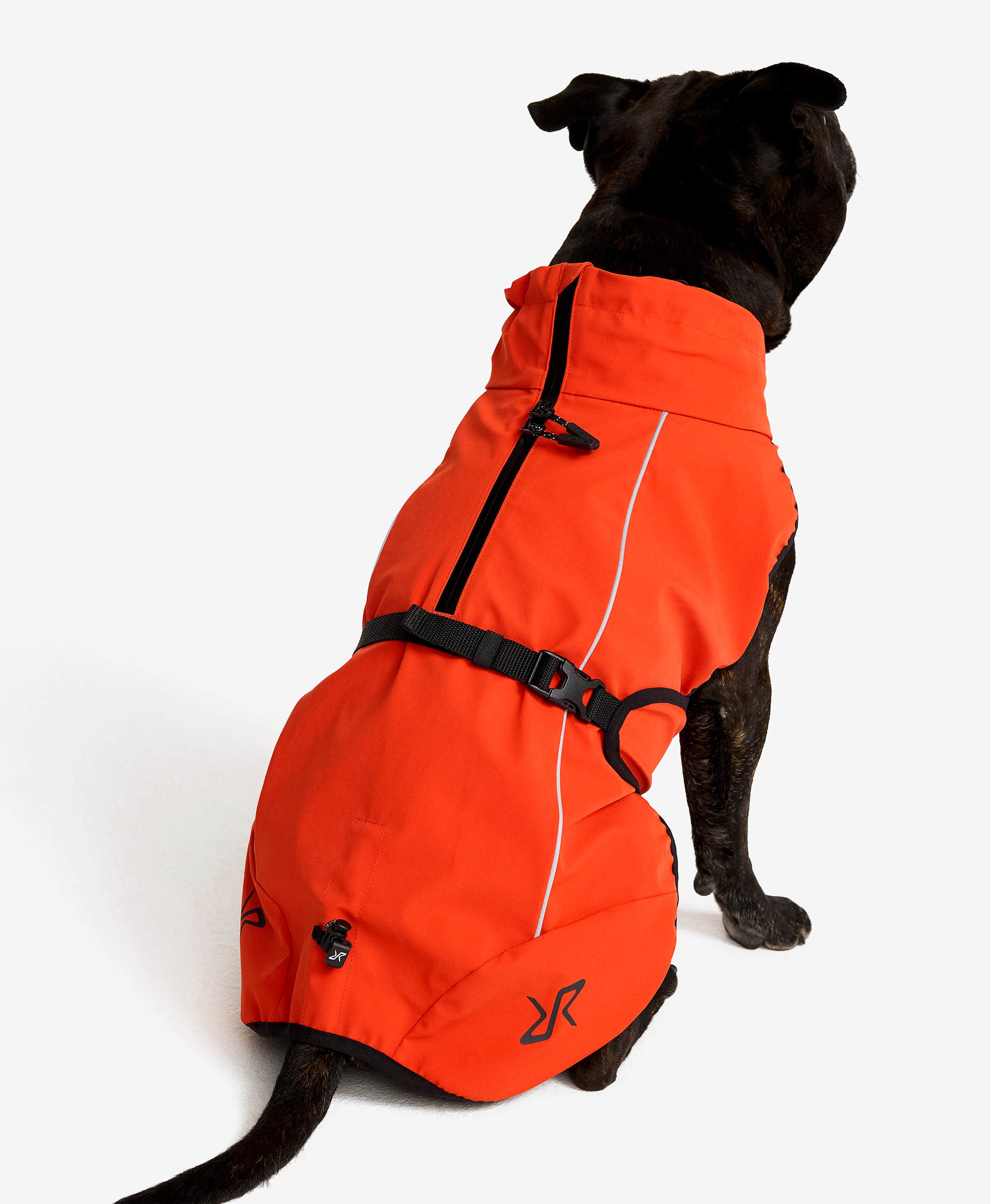 Cyclone Dog Jacket Dog