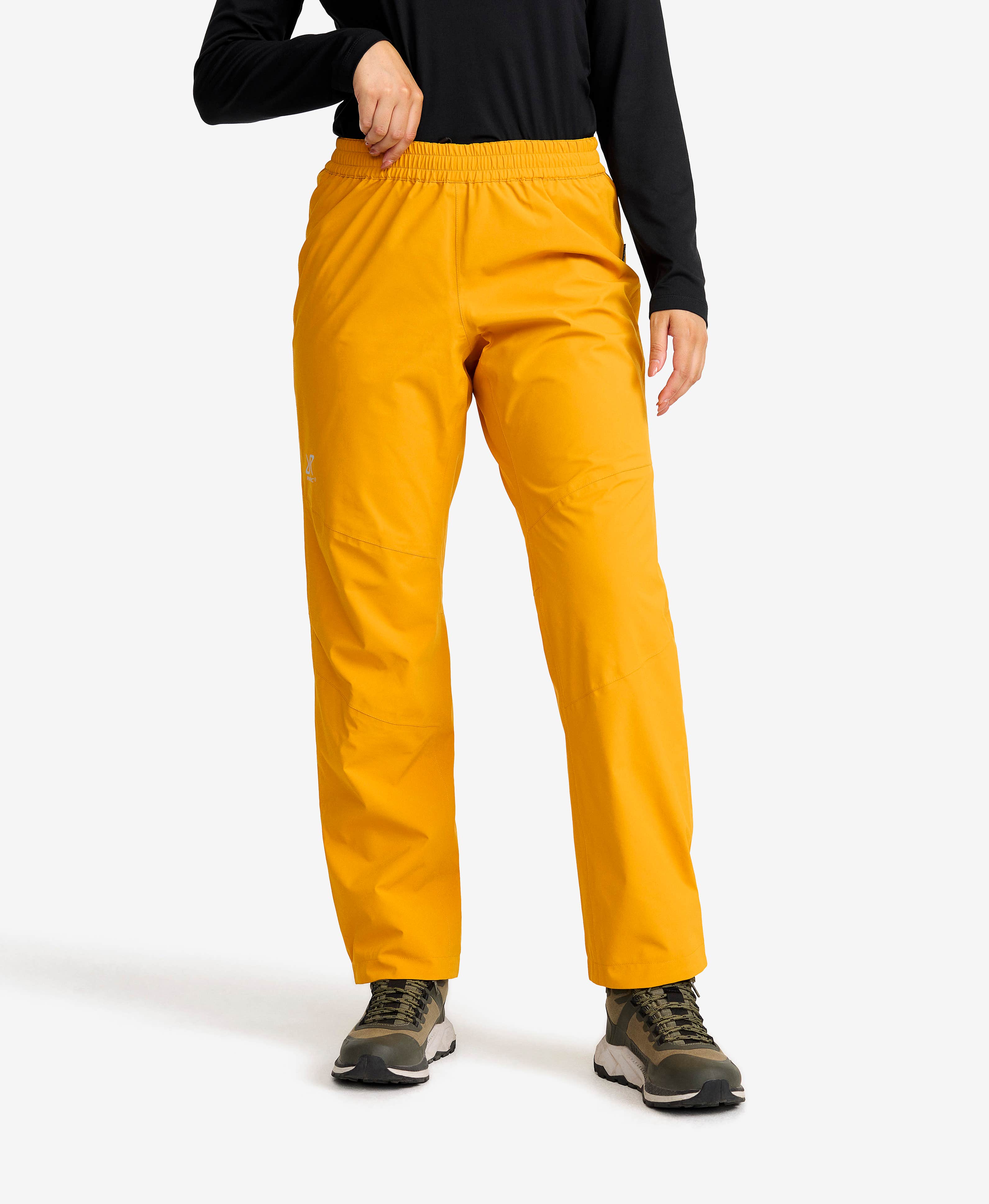 Vector 2L Pants Women