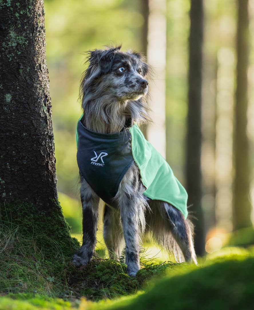 Trekker Fleece Dog