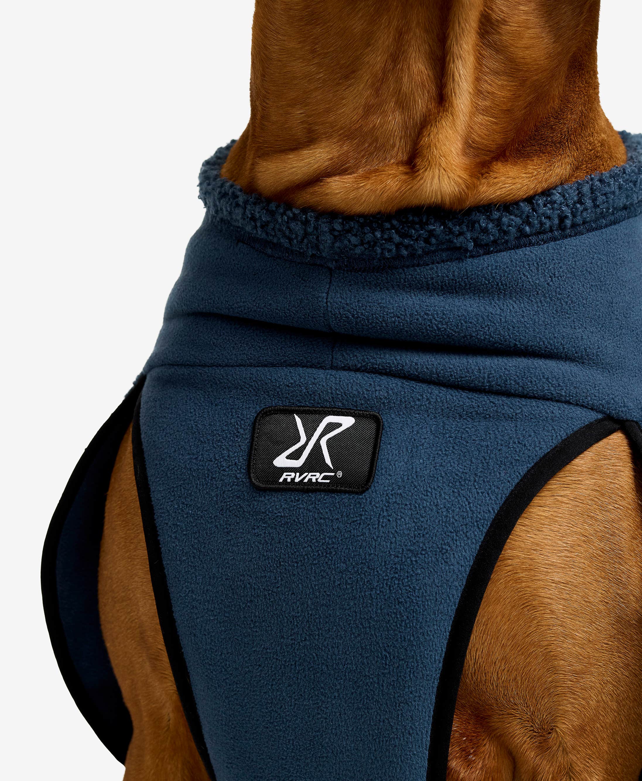 Bigfoot Dog Jacket Dog