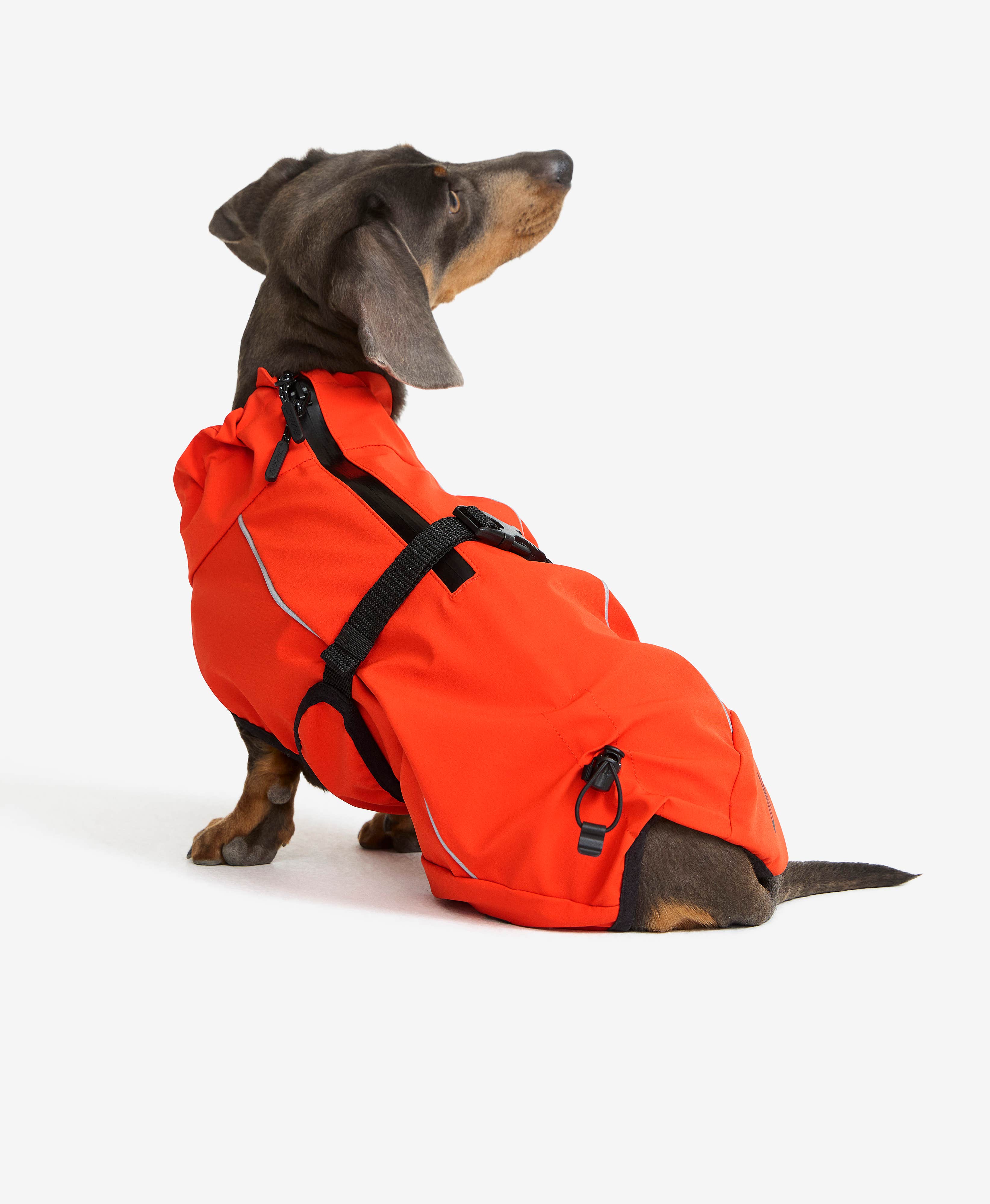 Cyclone Dog Jacket Dog