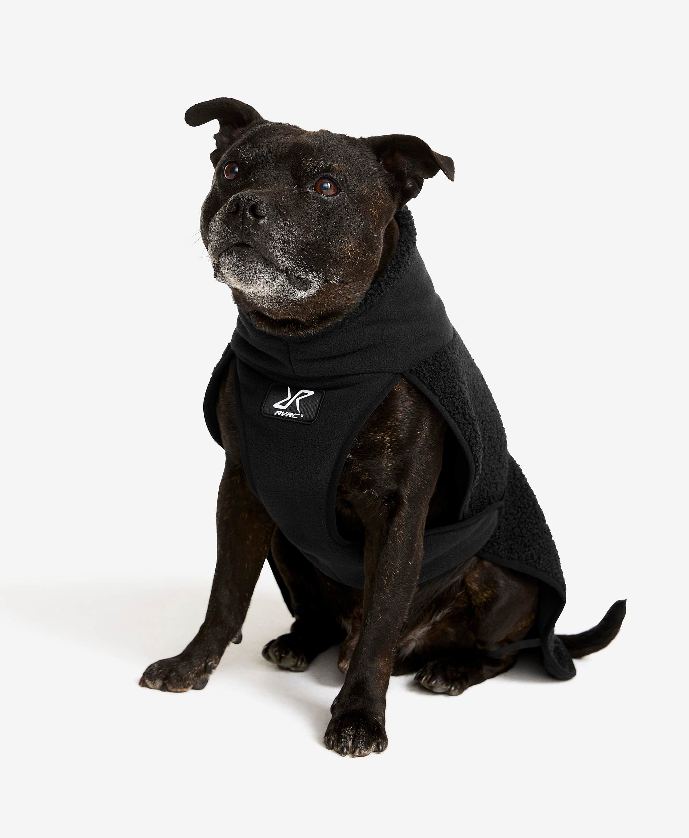 Bigfoot Dog Jacket Dog