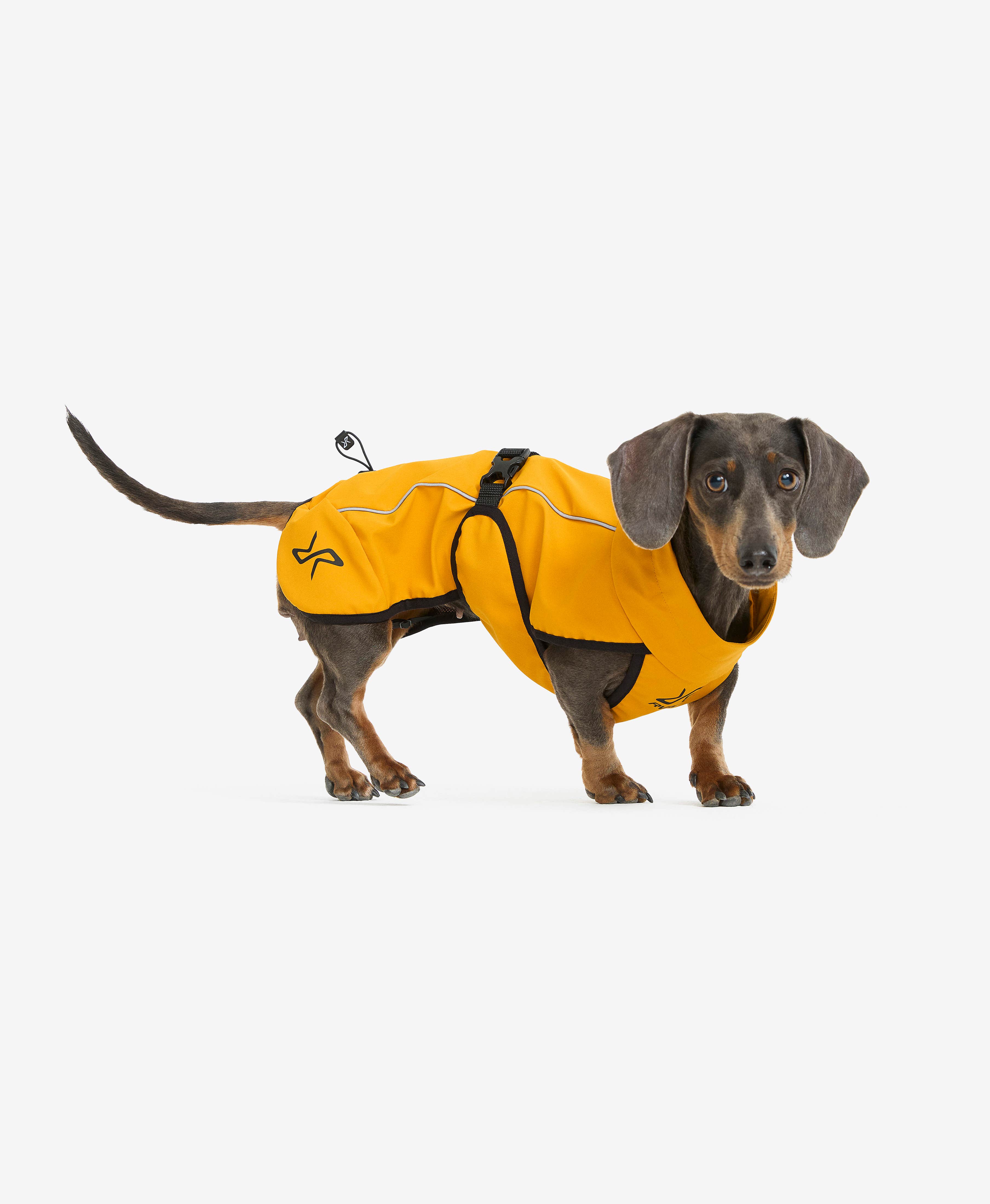 Cyclone Dog Jacket Dog