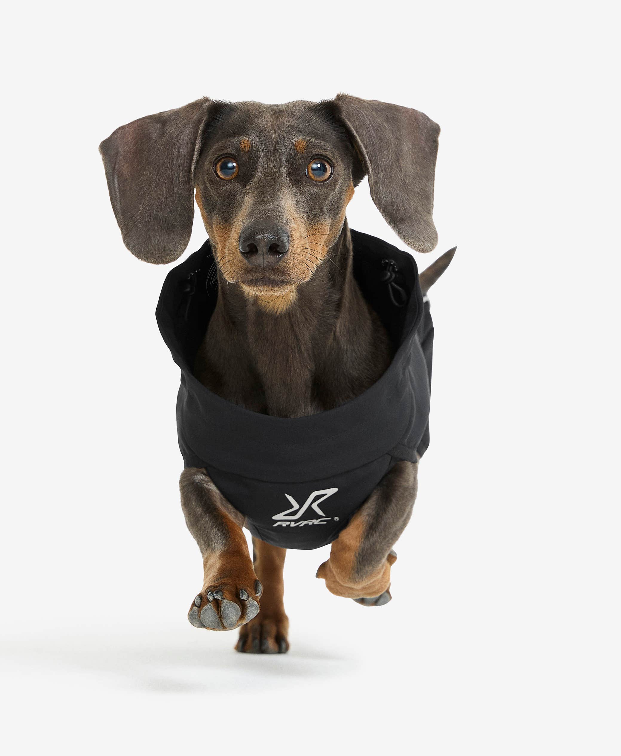 Cyclone Dog Jacket Dog