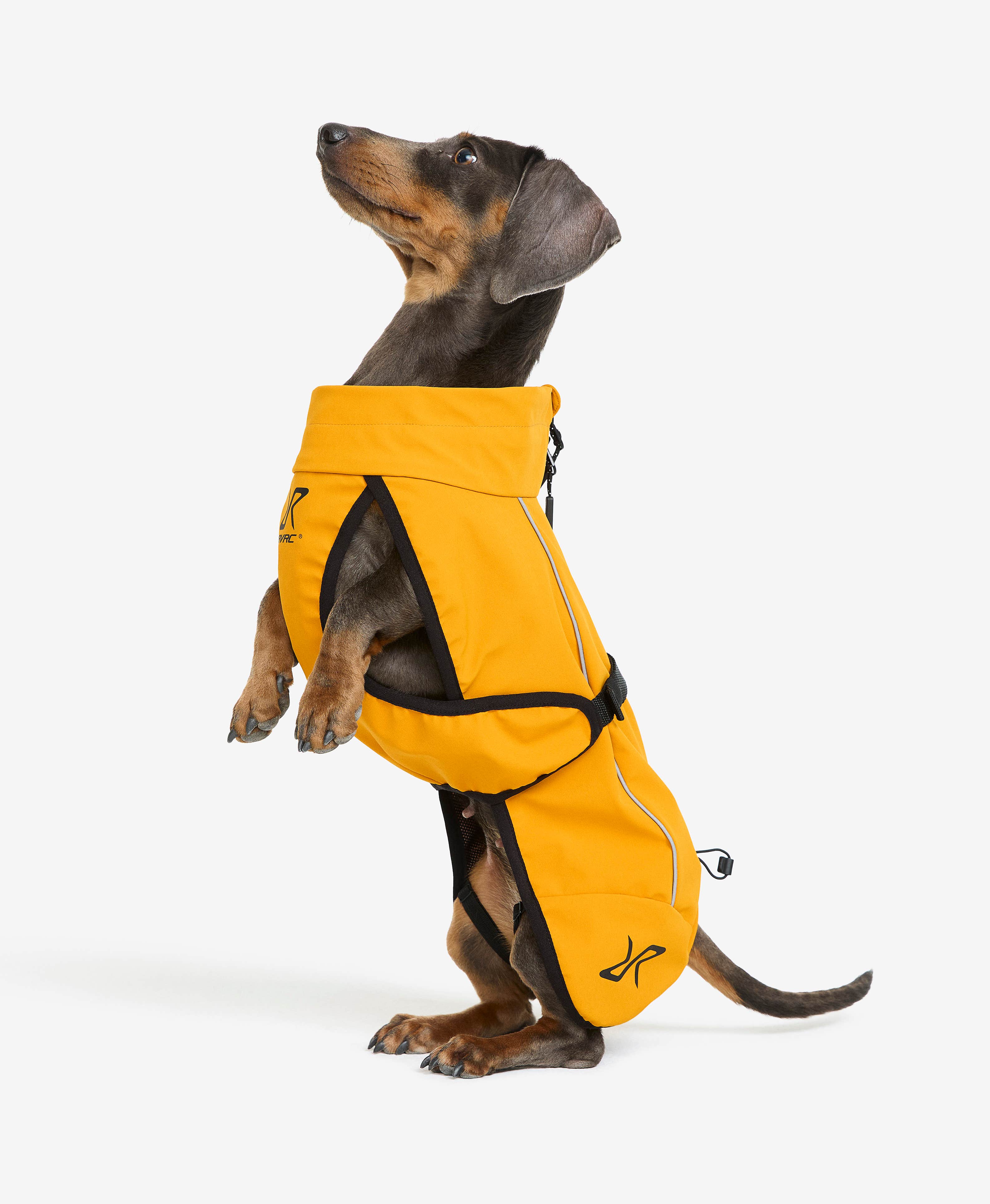 Cyclone Dog Jacket Dog