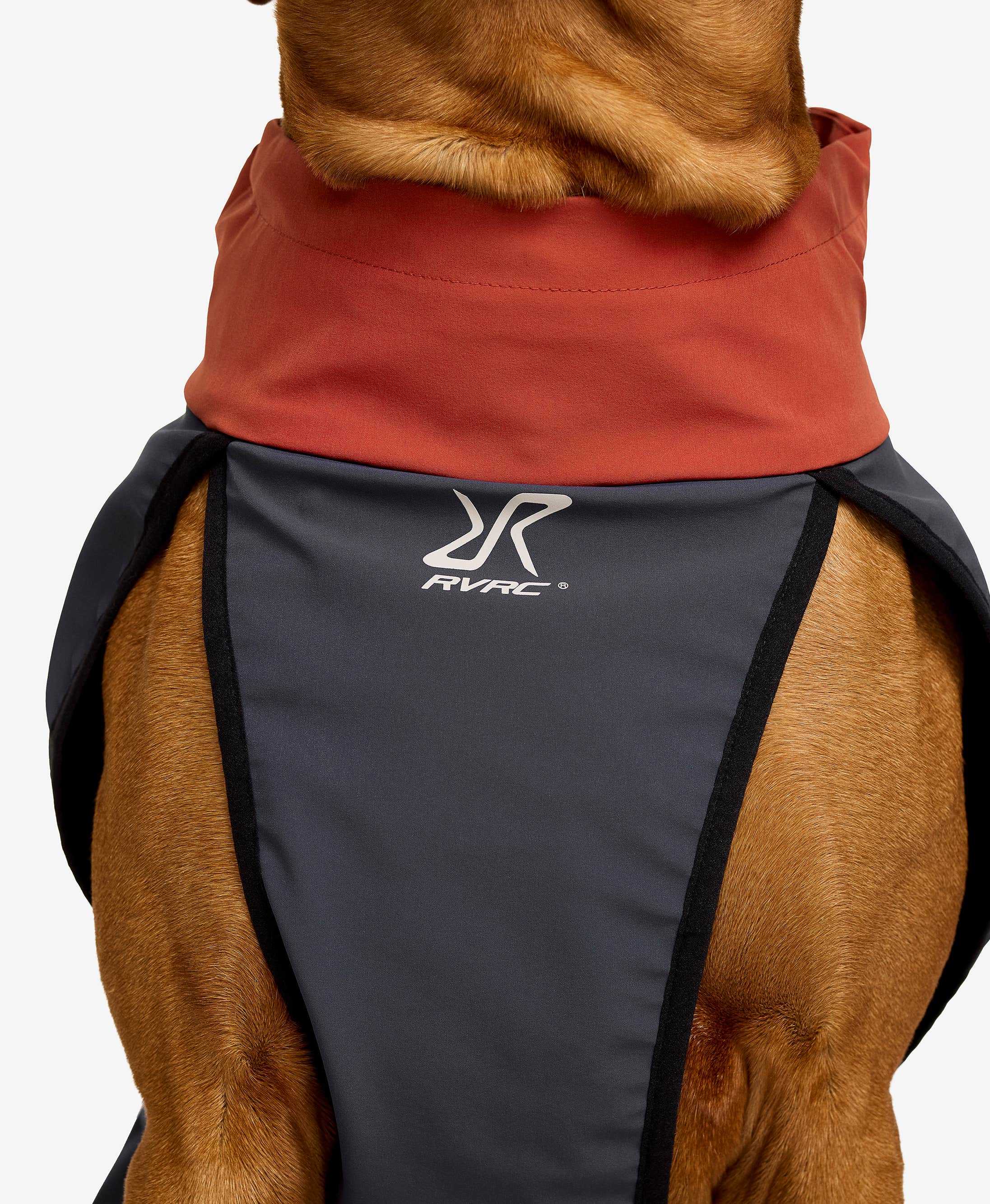 Cyclone Dog Jacket Dog