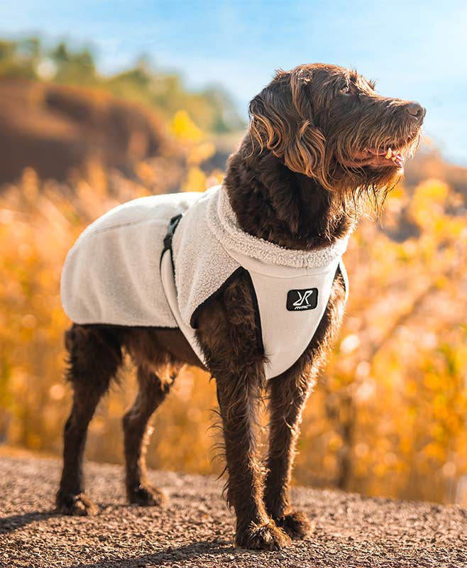 Bigfoot Dog Jacket Dog