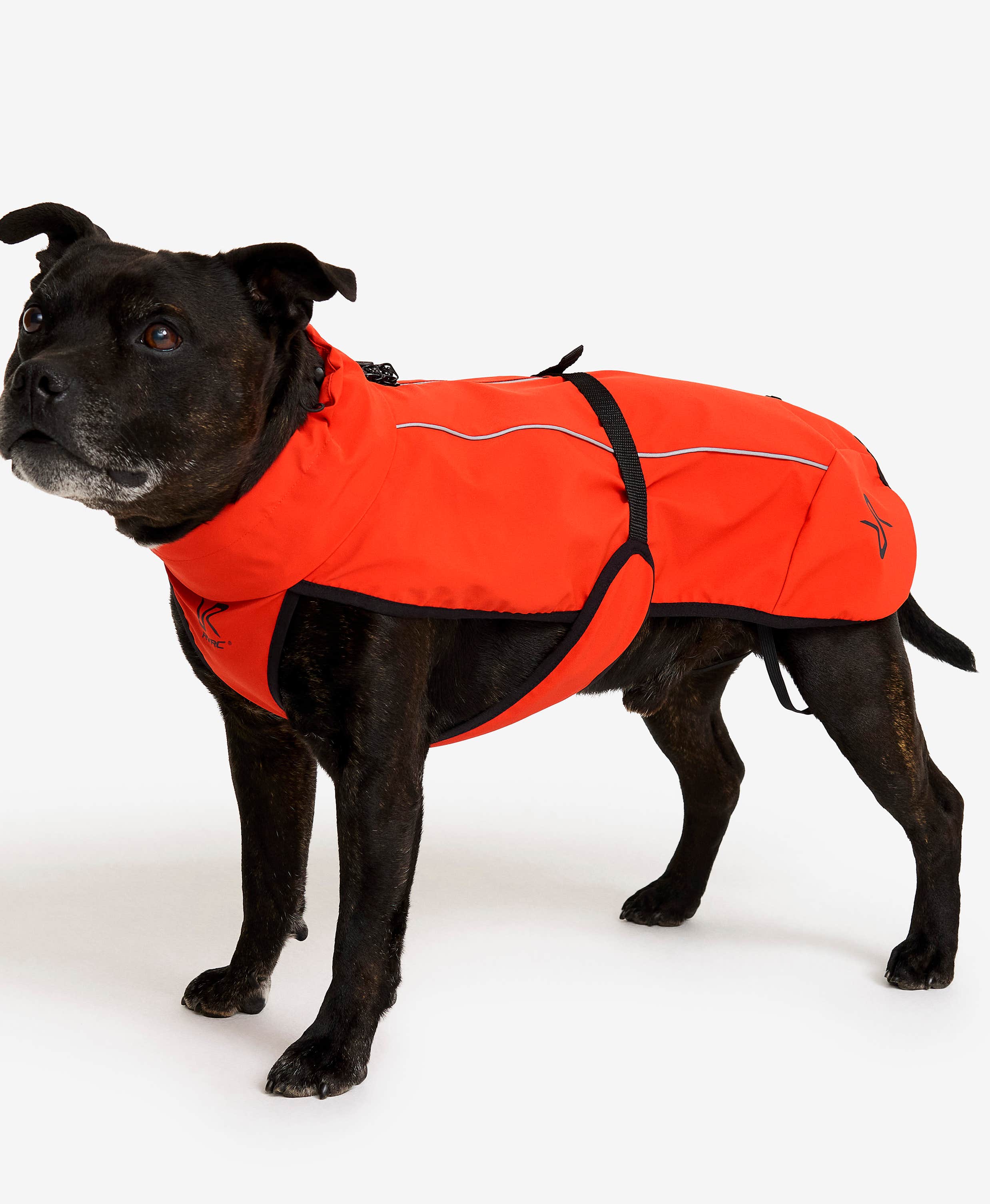 Cyclone Dog Jacket Dog