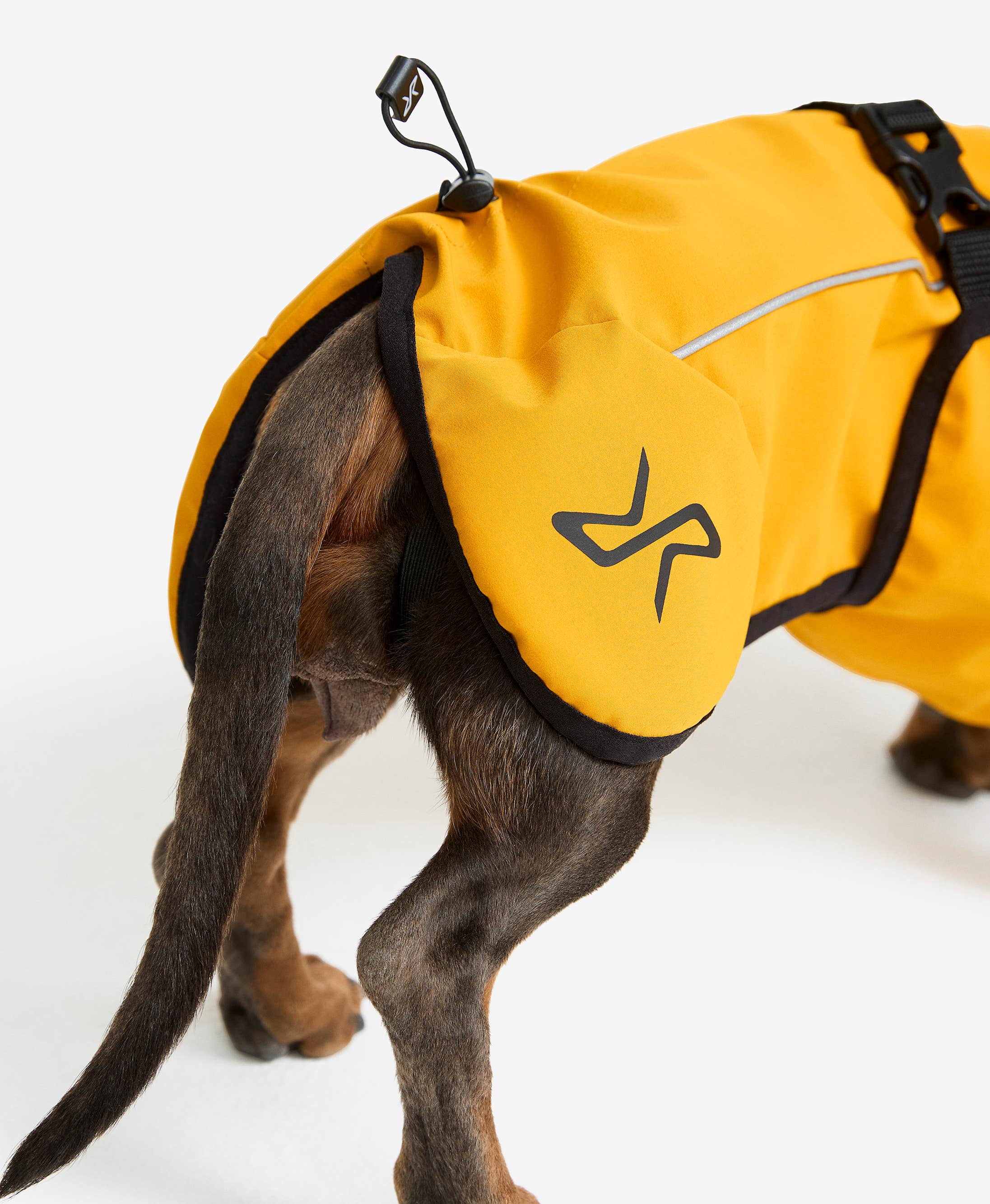 Cyclone Dog Jacket Dog