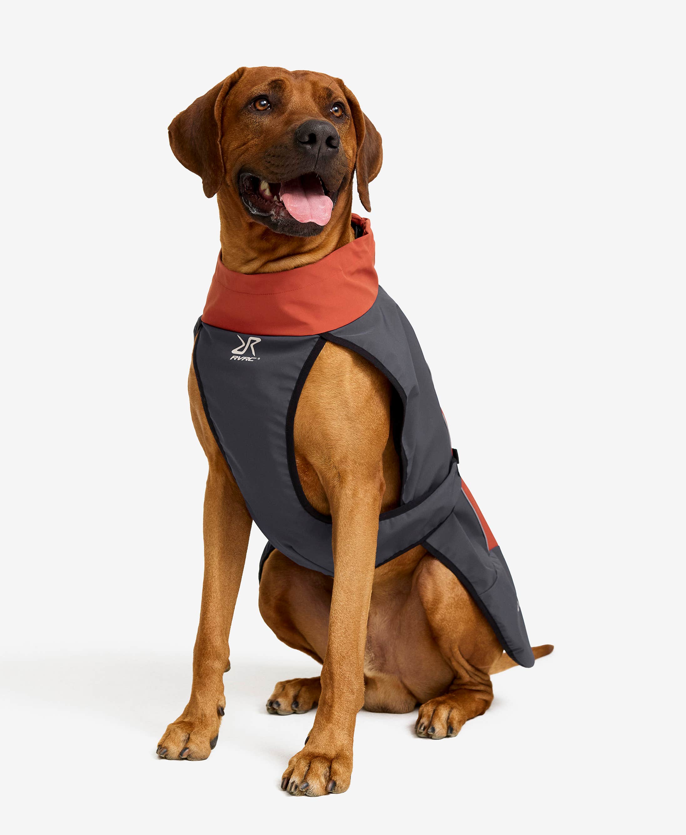 Cyclone Dog Jacket Dog