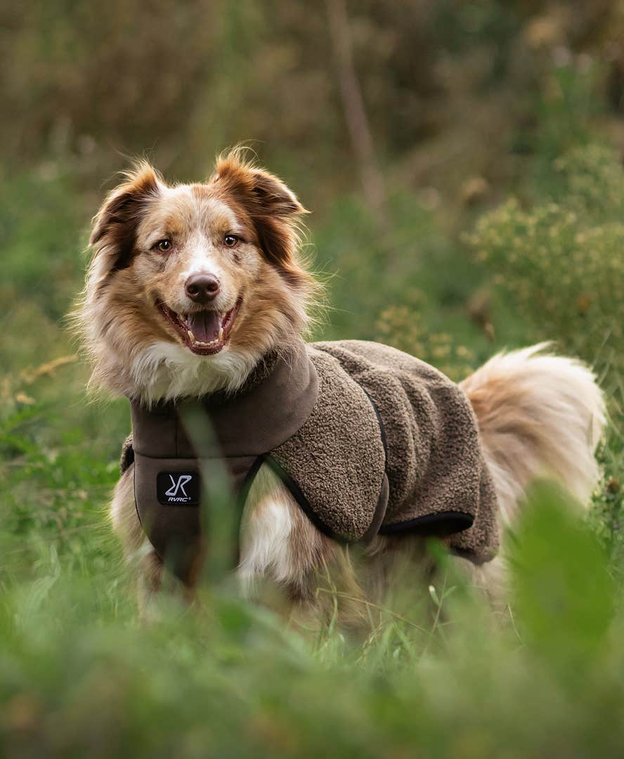 Bigfoot Dog Jacket Dog