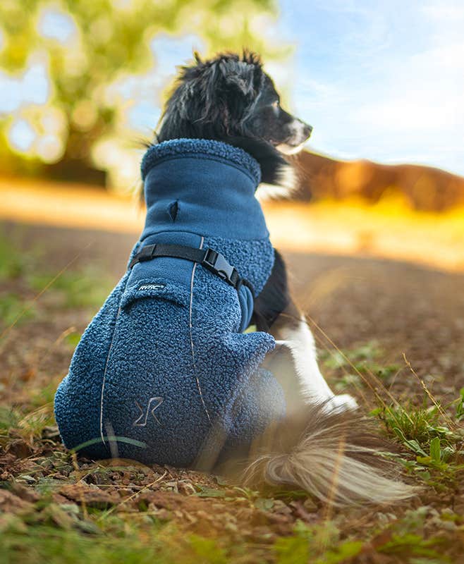 Bigfoot Dog Jacket Dog