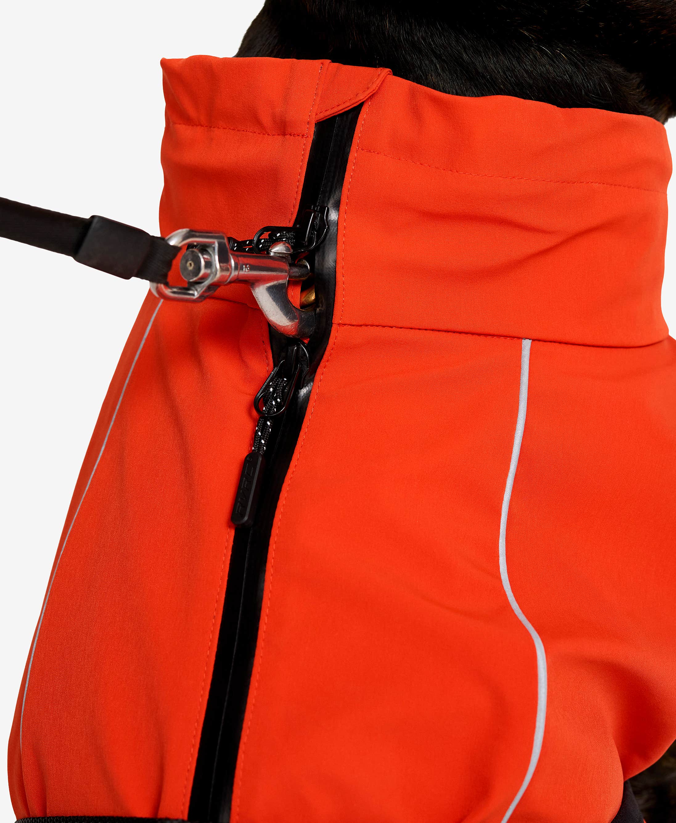 Cyclone Dog Jacket Dog