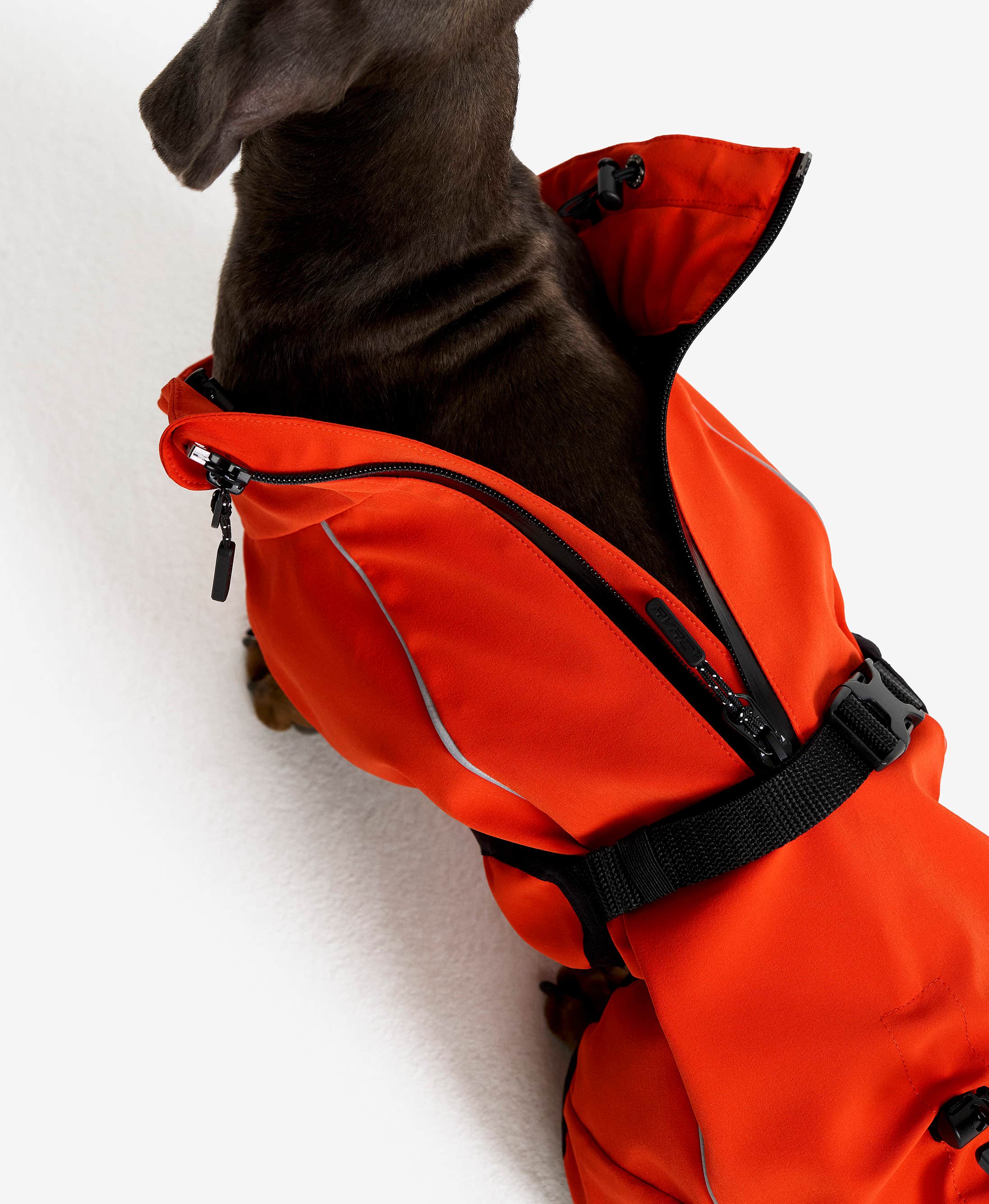 Cyclone Dog Jacket Dog