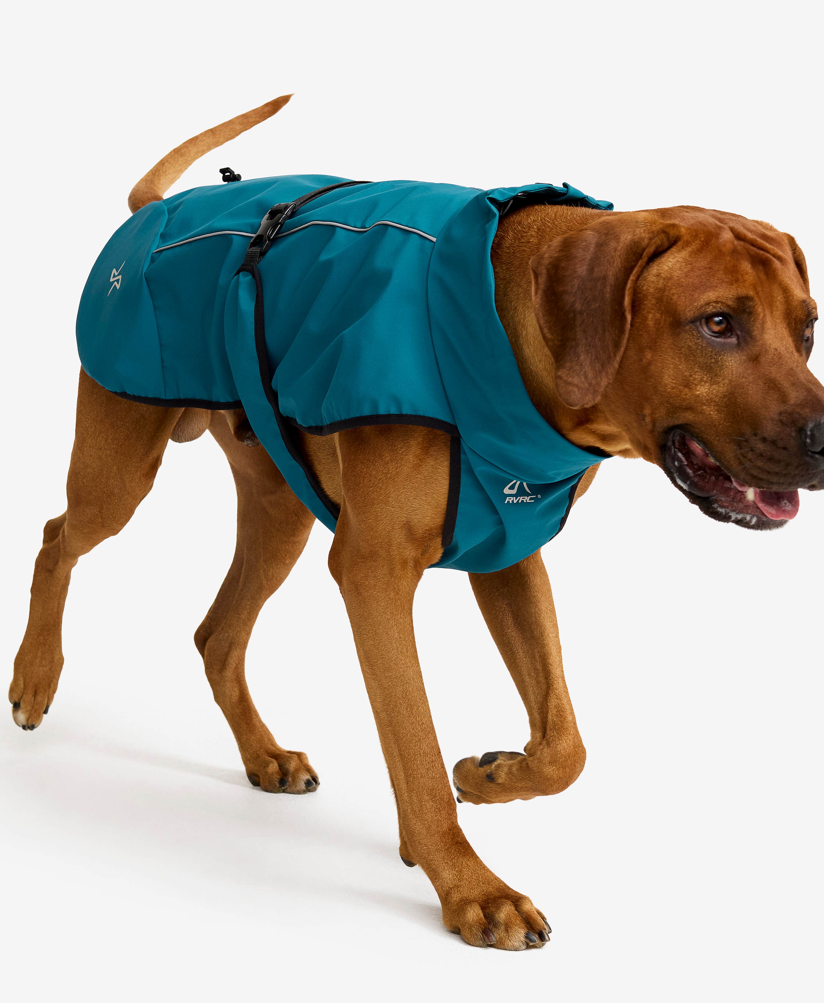 Cyclone Dog Jacket Dog