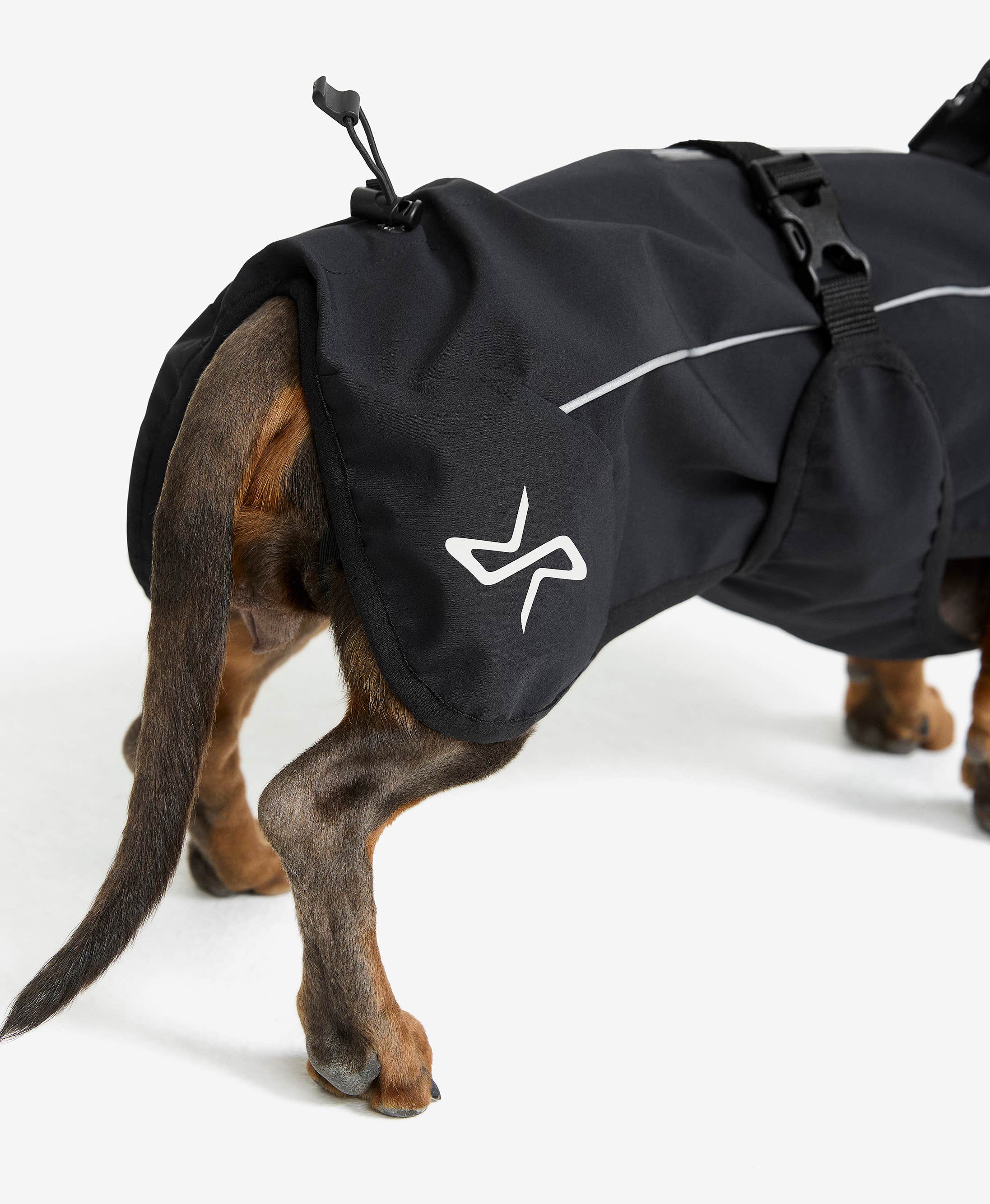 Cyclone Dog Jacket Dog
