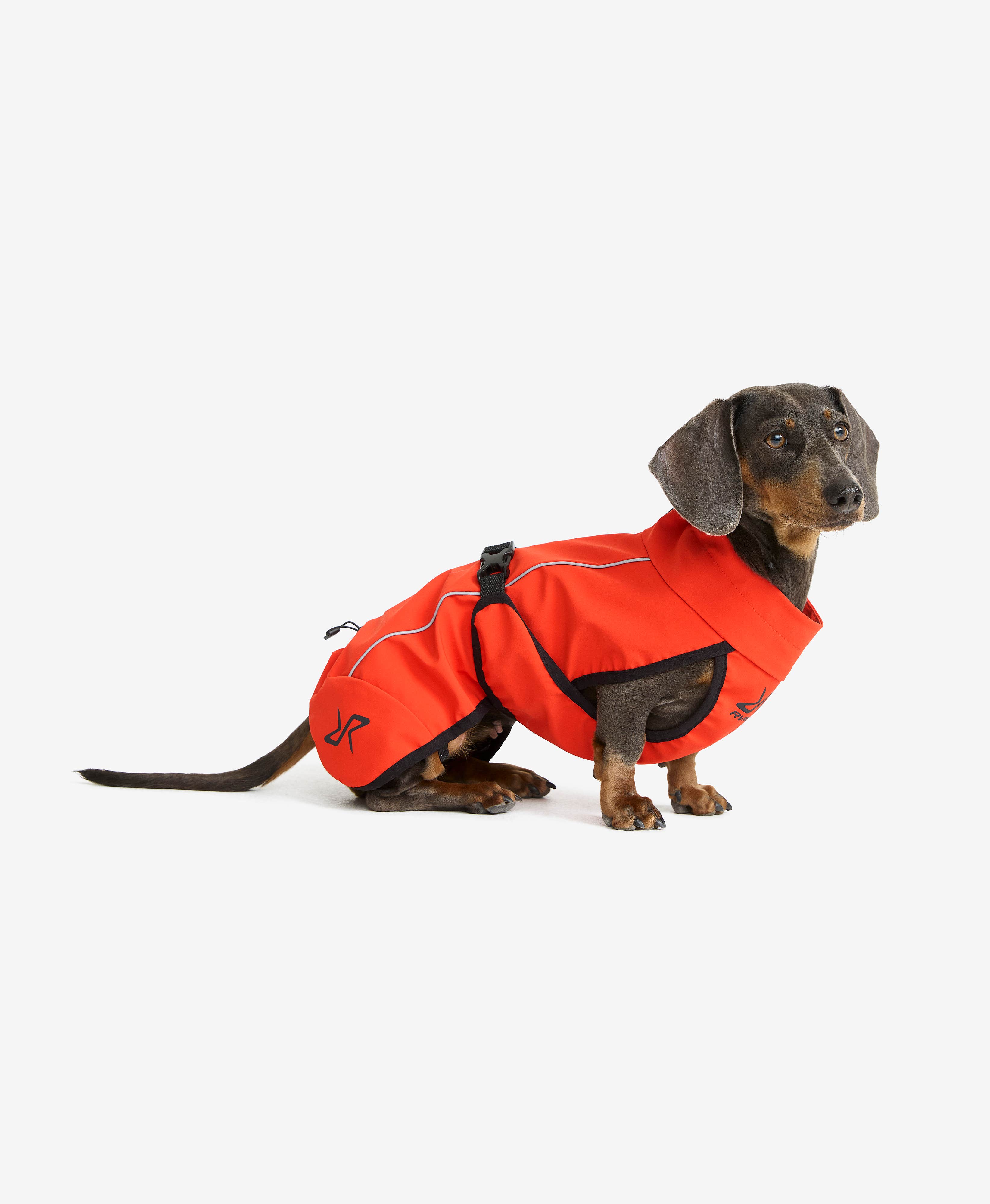 Cyclone Dog Jacket Dog