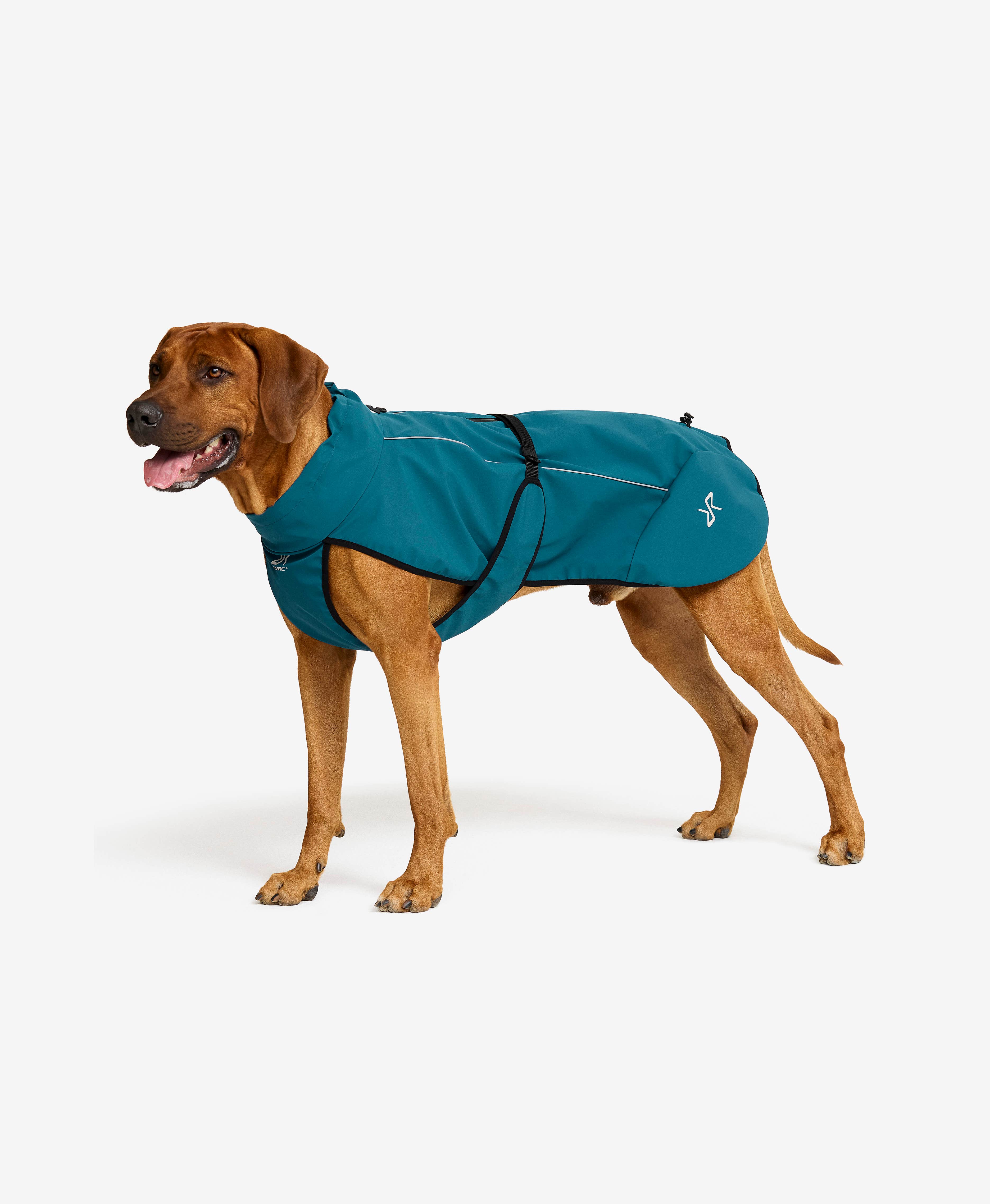 Cyclone Dog Jacket Dog