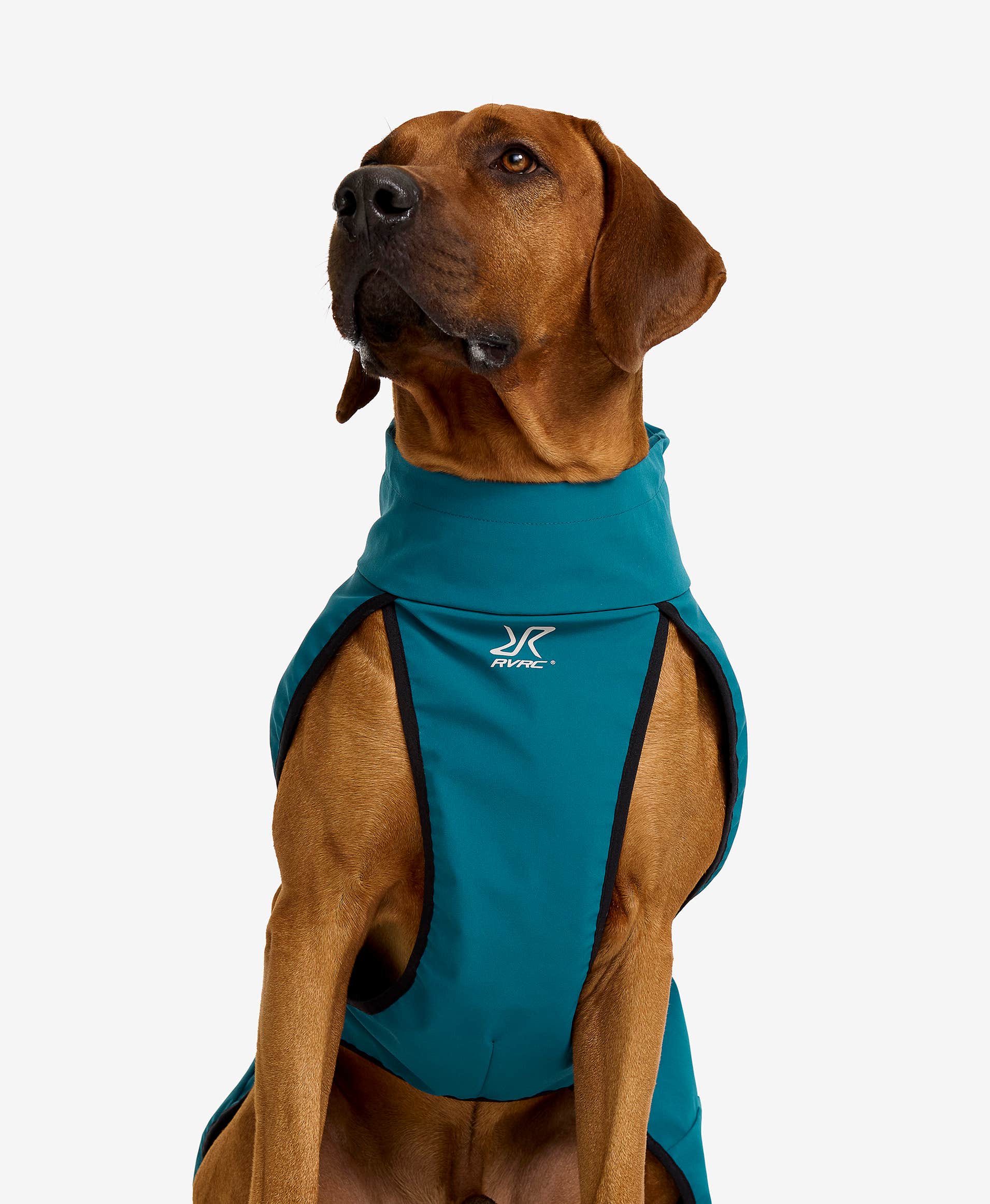 Cyclone Dog Jacket Dog