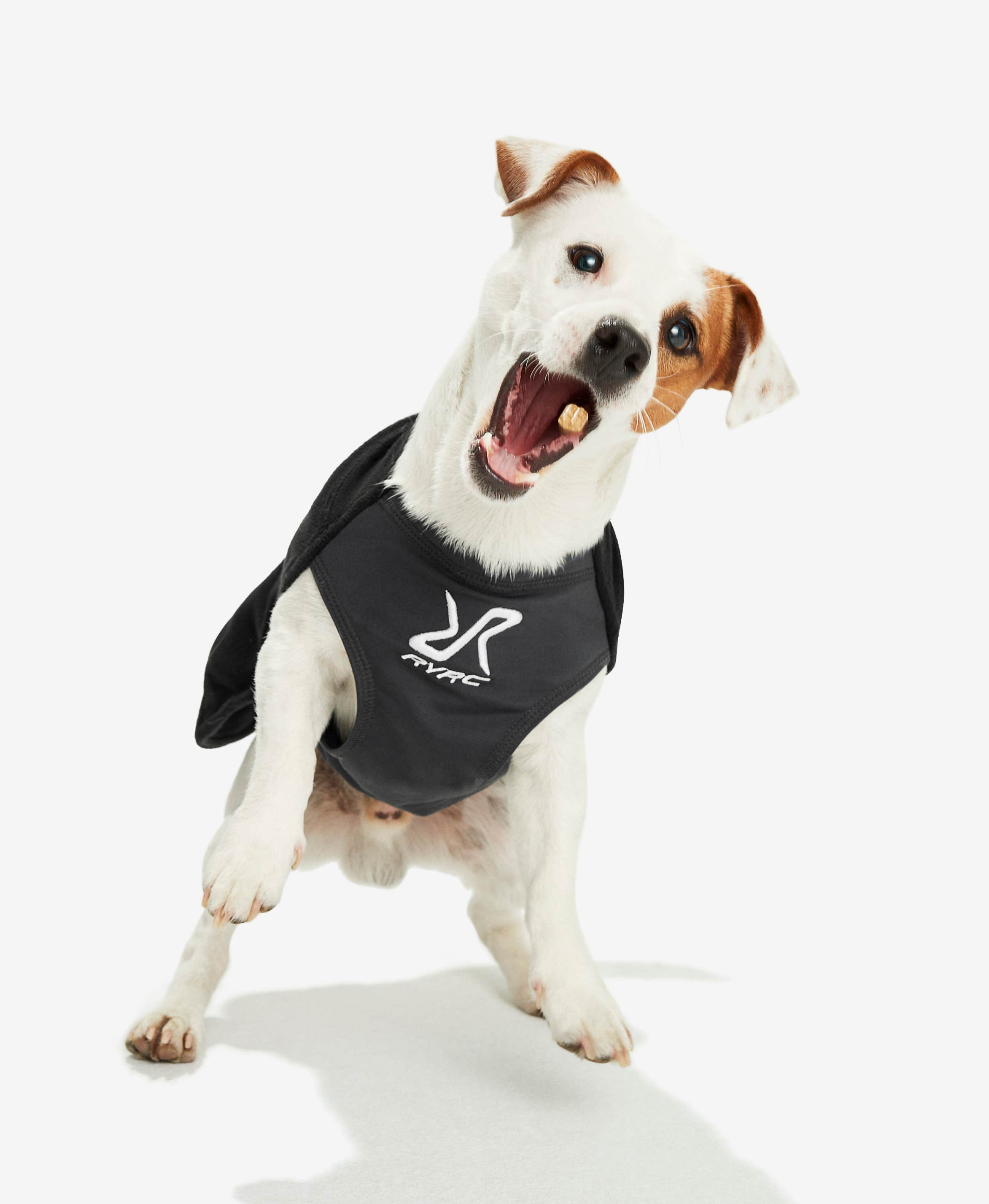 Trekker Fleece Dog