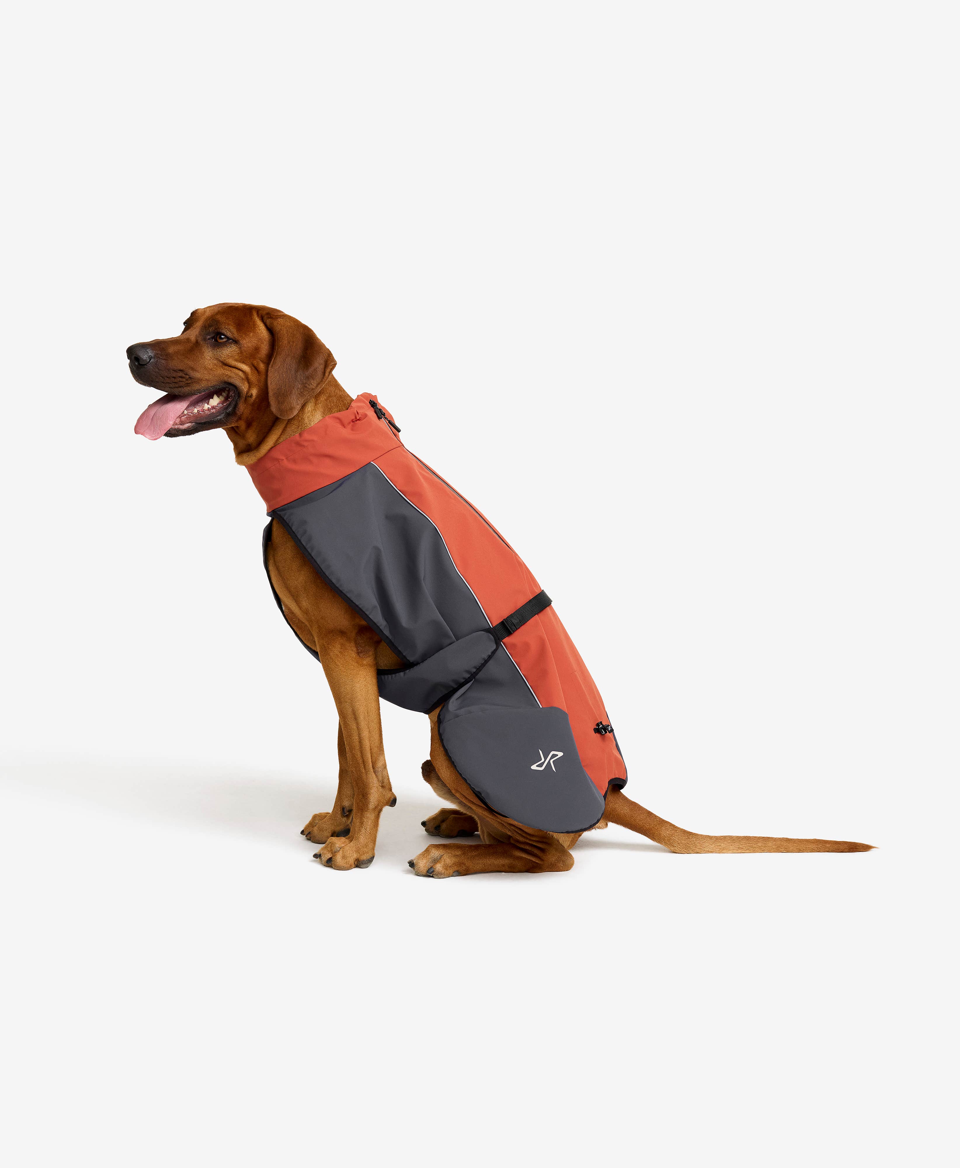 Cyclone Dog Jacket Dog