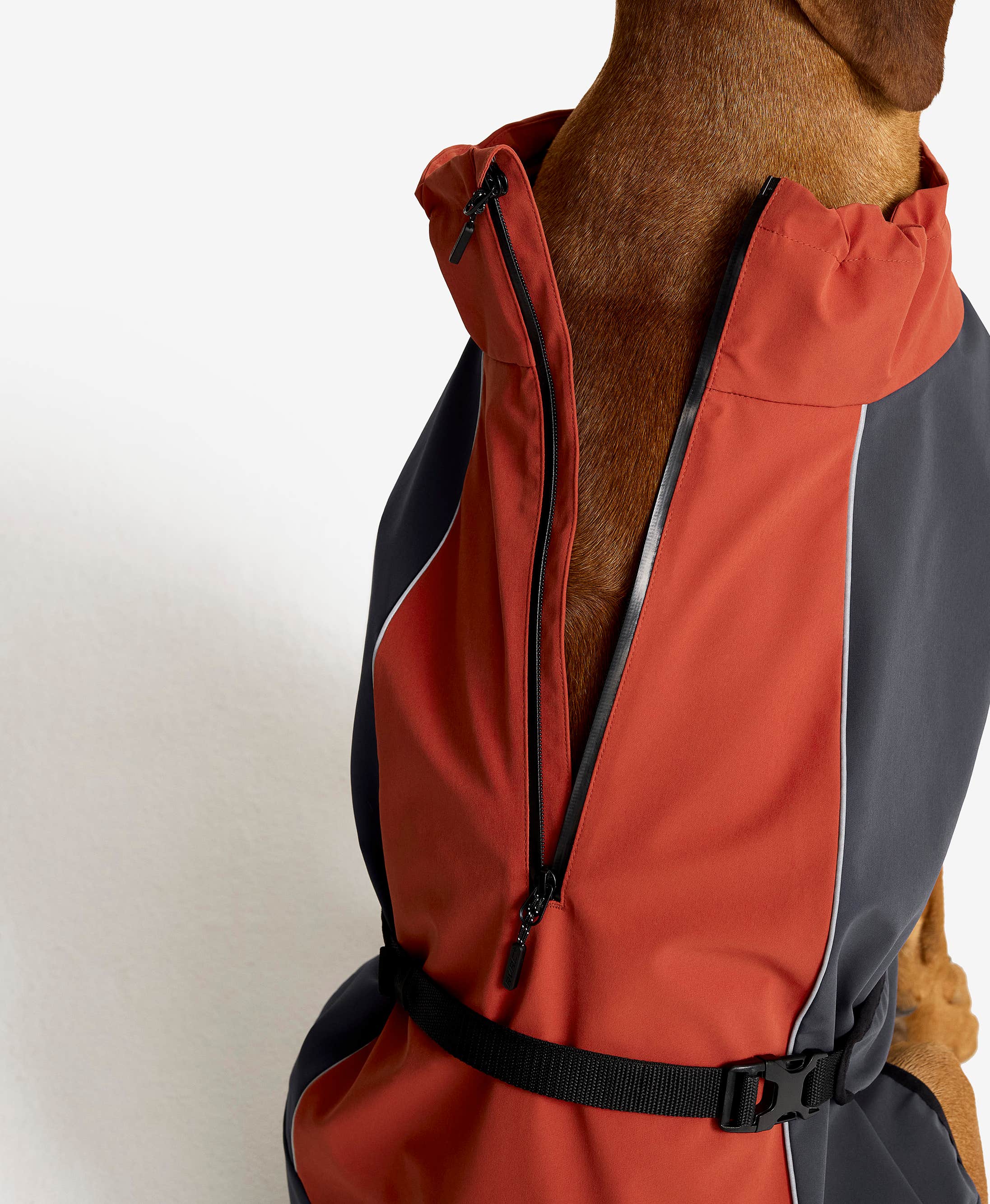 Cyclone Dog Jacket Dog