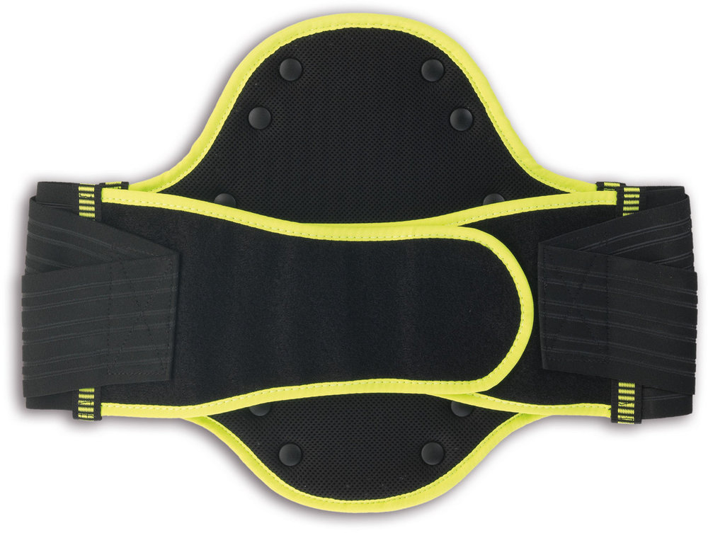 Zandona Shield Evo X5 Lumbar Protector
