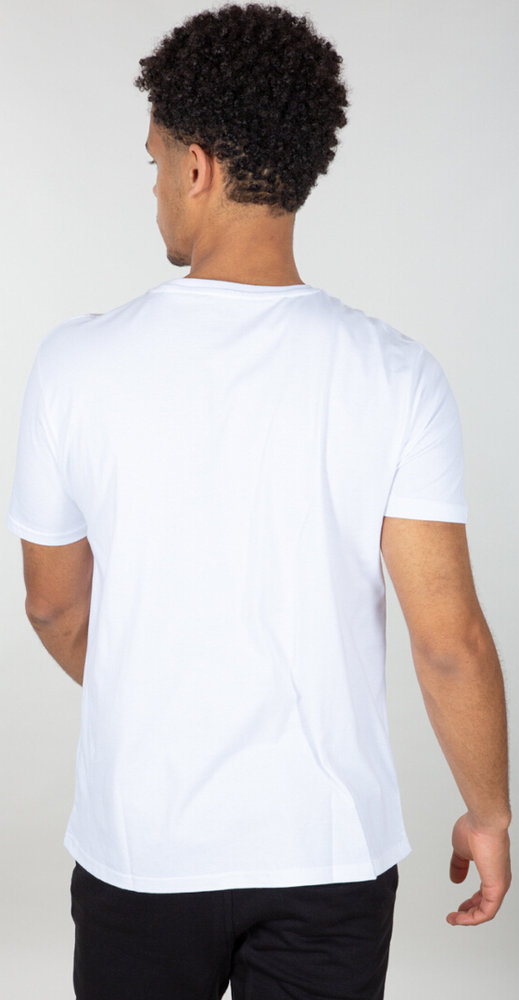 Alpha Industries Basic Rainbow Ref. T-Shirt