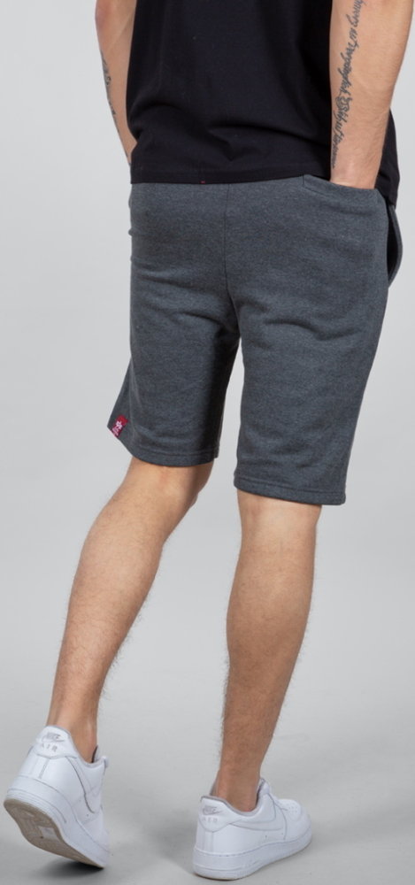 Alpha Industries Big Letters Shorts