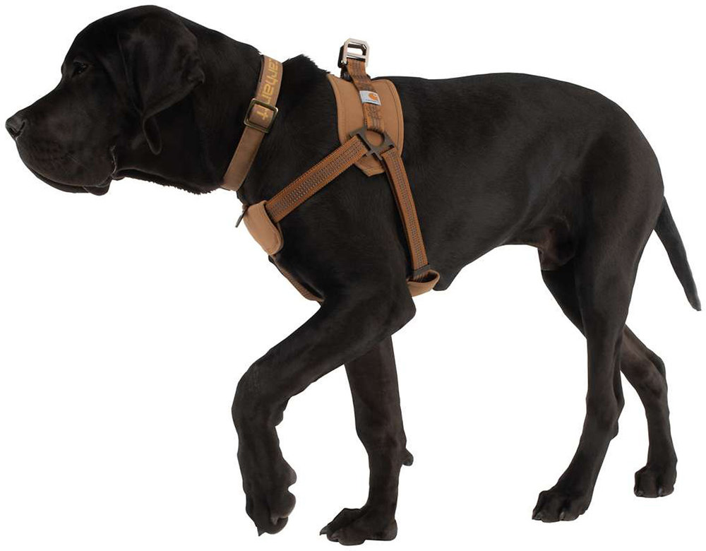 Carhartt Training Dog Harness