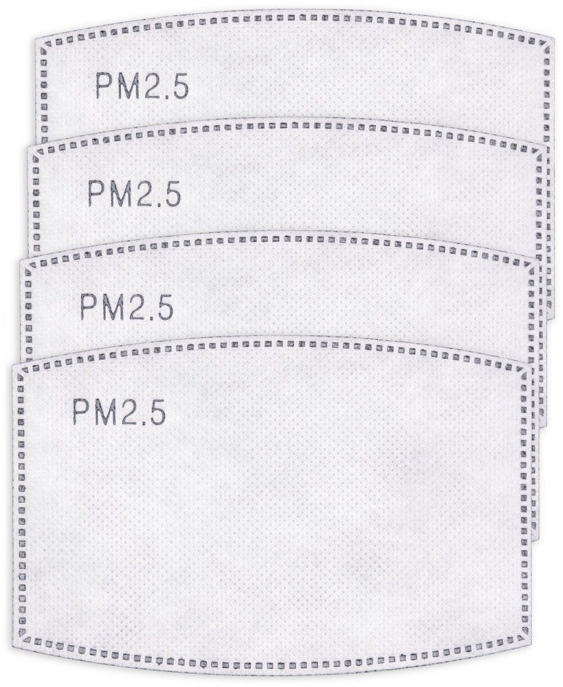 Pando Moto Fujin 01 Facemask