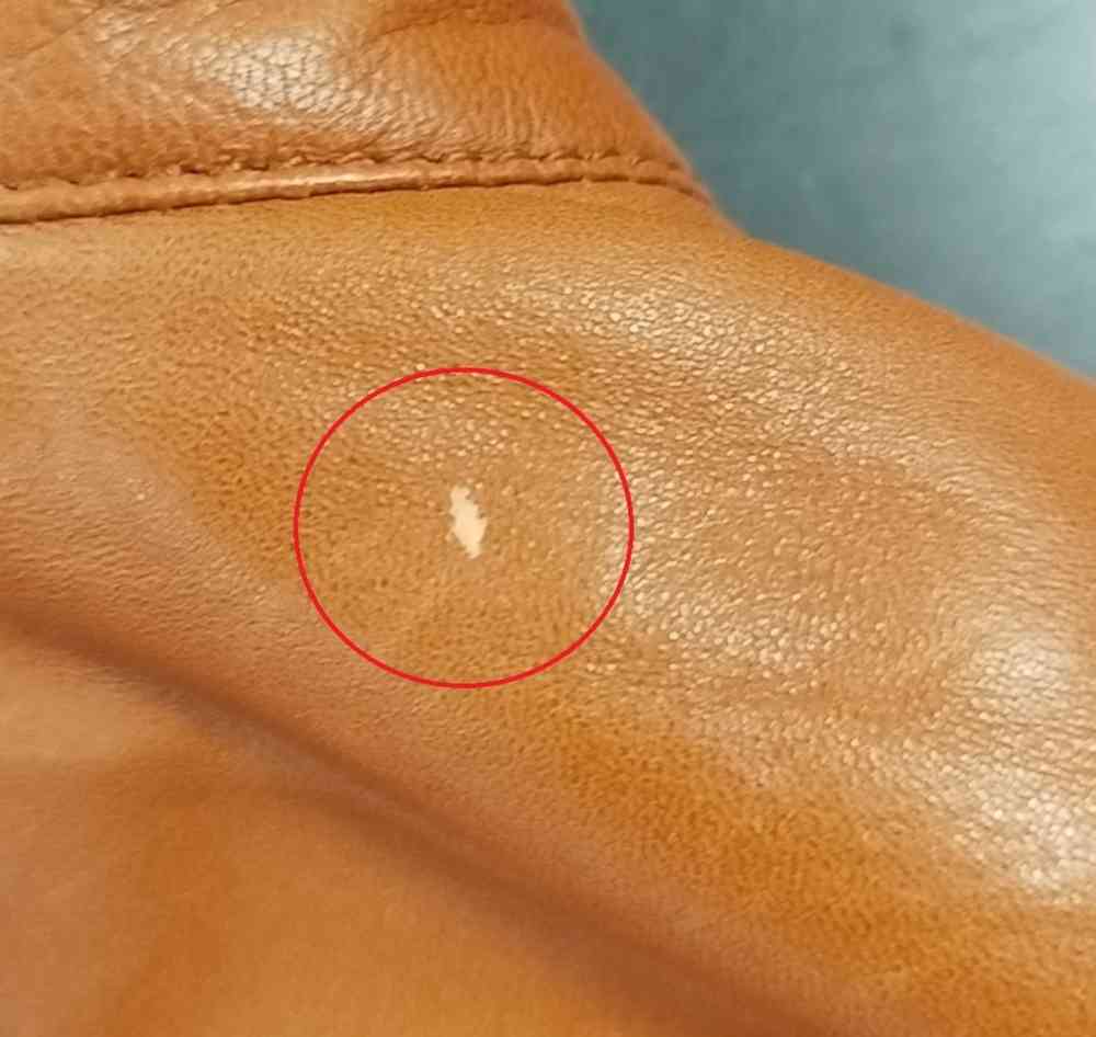 Blauer USA Icon Biker ladies leather jacket 2nd choice item