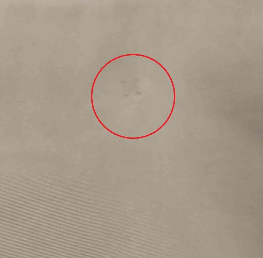 Blauer USA Marc jacket 2nd choice item